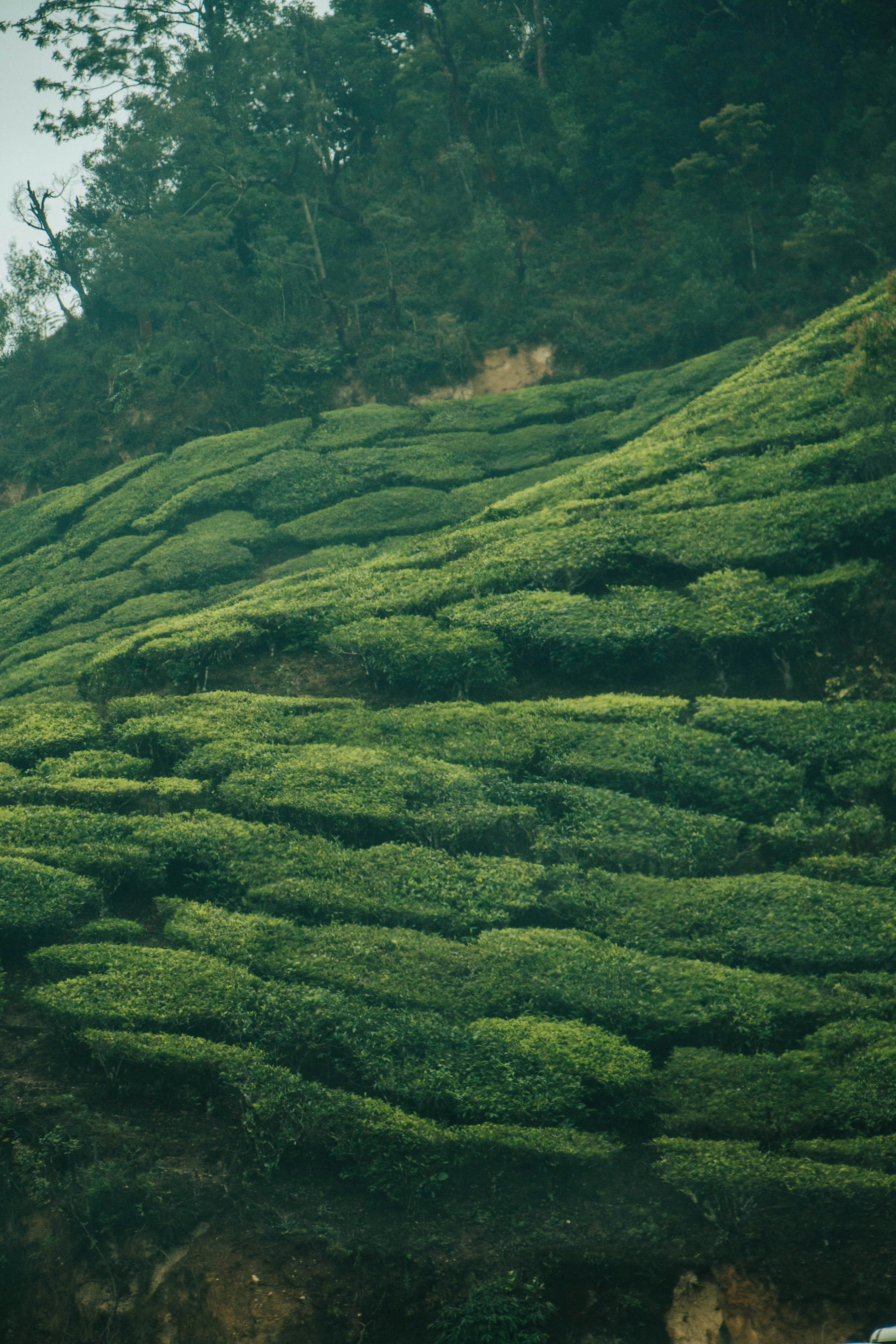 Photo by rishabh_mathew