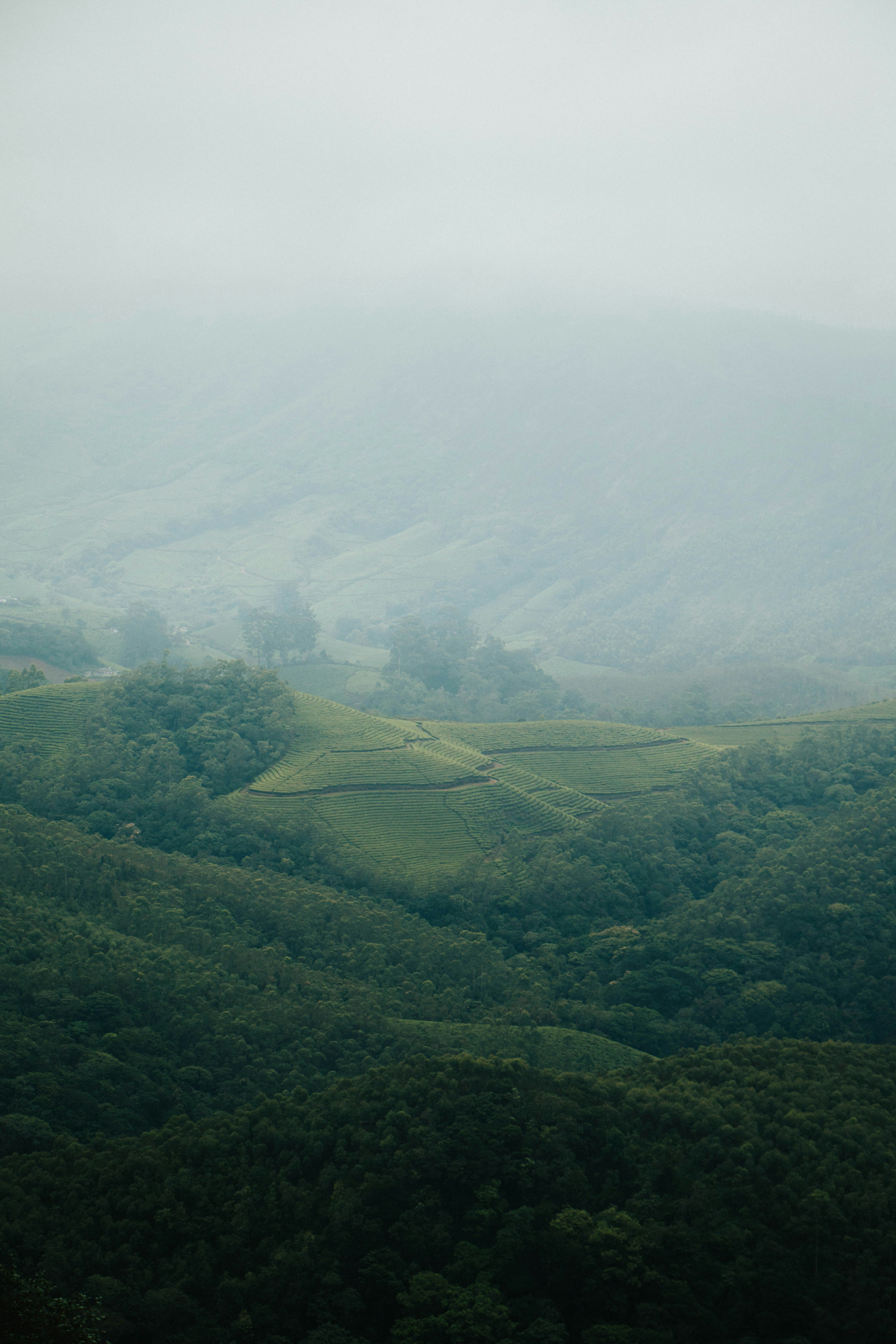 Photo by rishabh_mathew