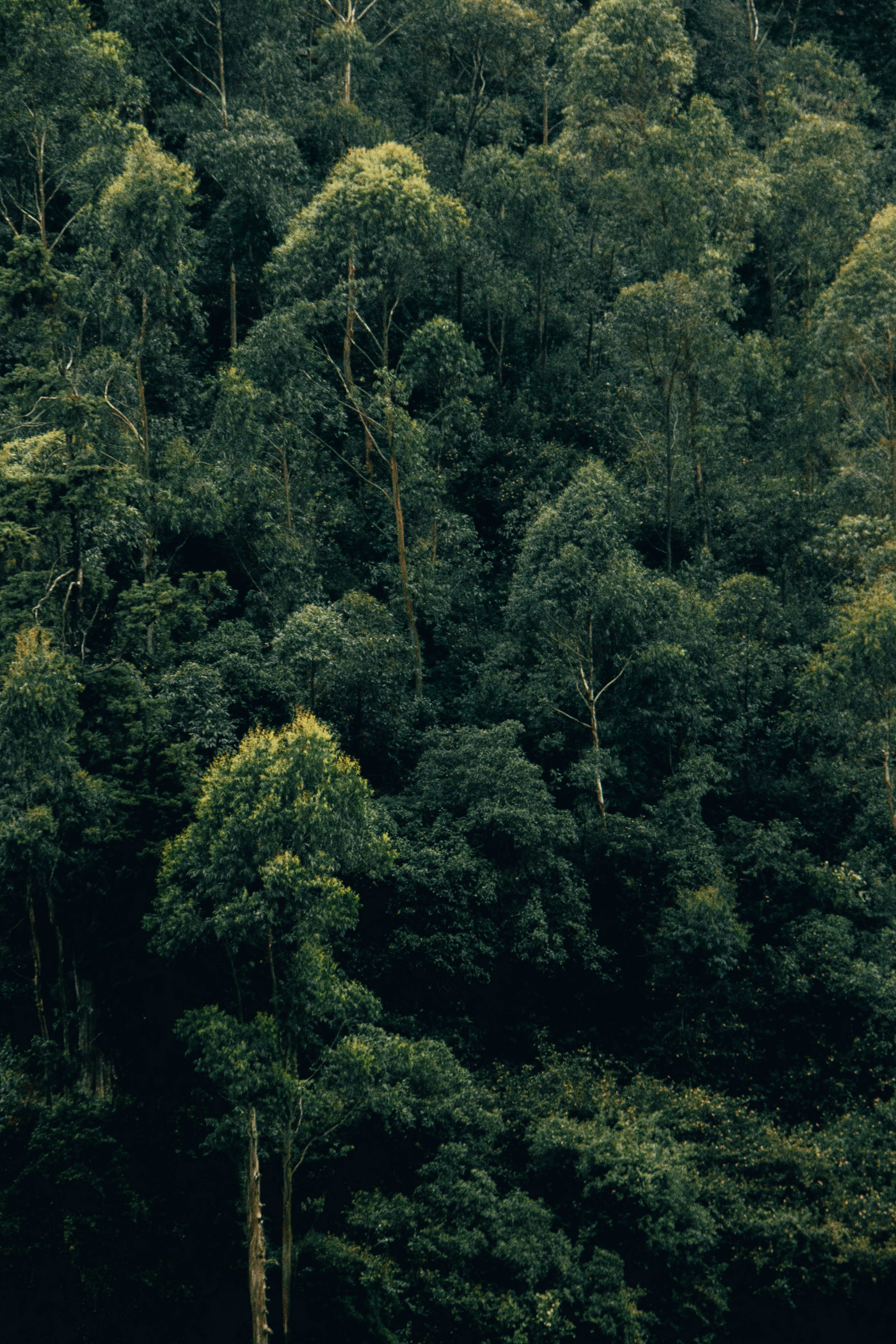 Photo by rishabh_mathew