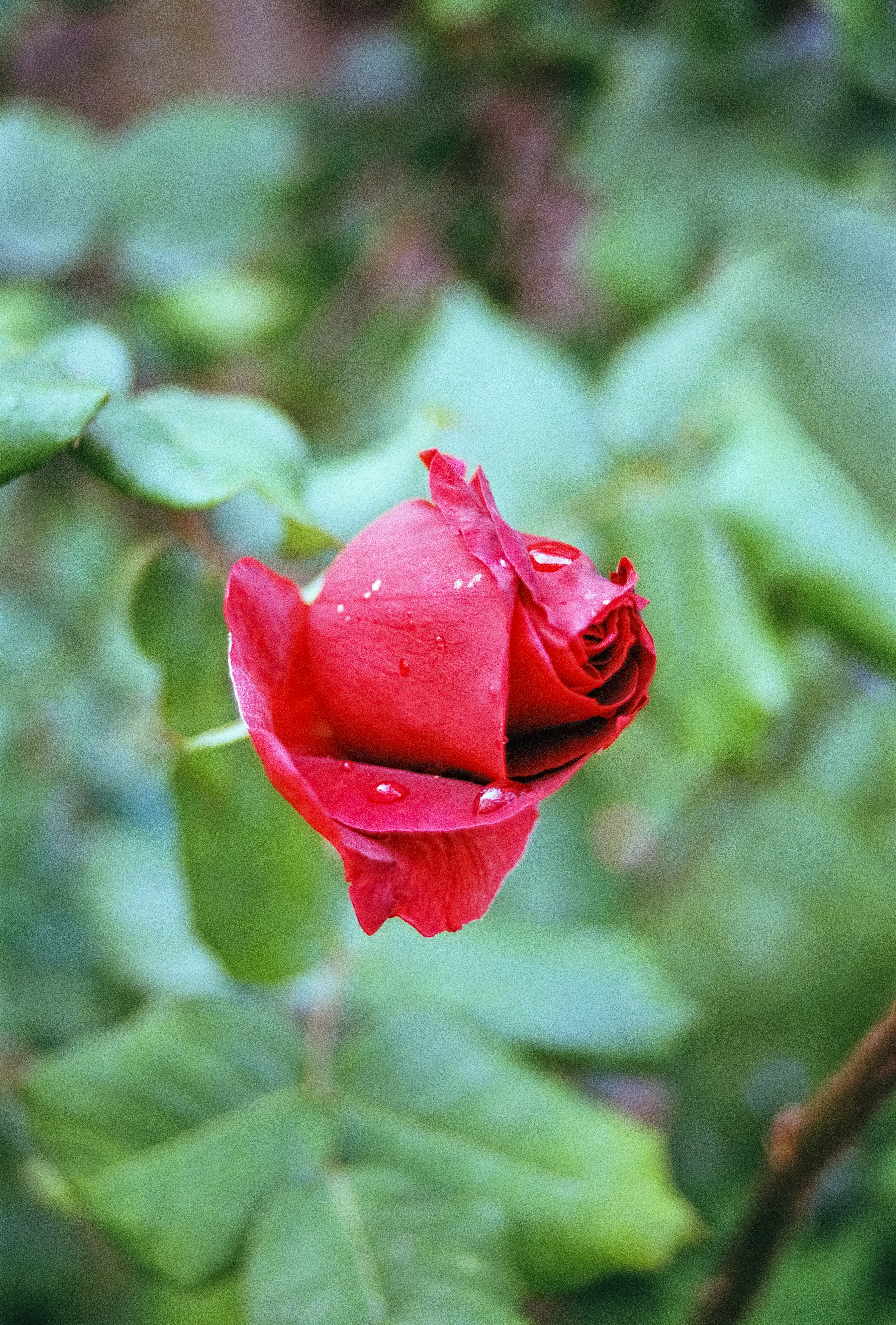 Photo by artistseyes