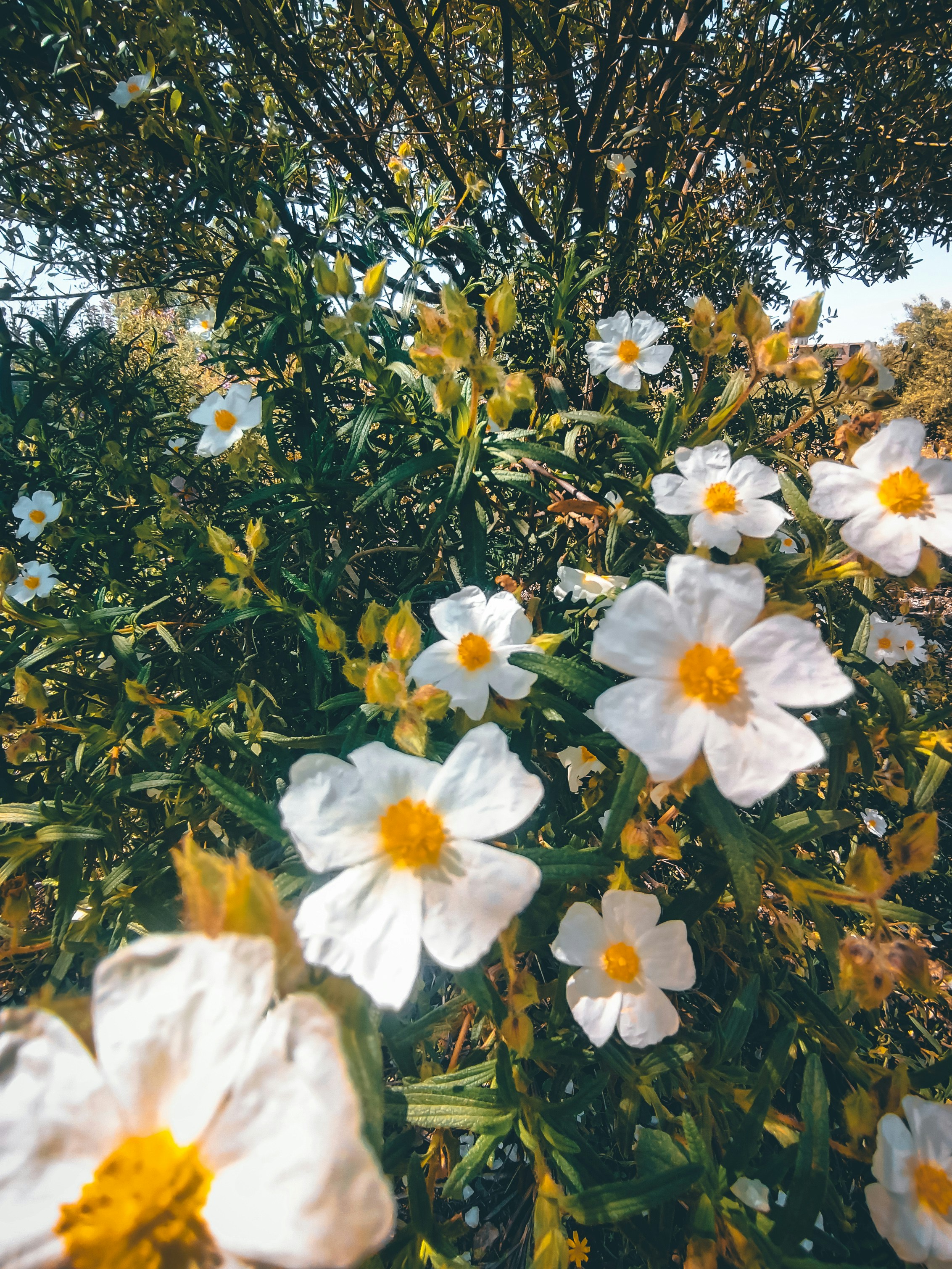 Photo by athmane22