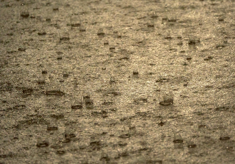 a black and white photo of rain drops on the ground