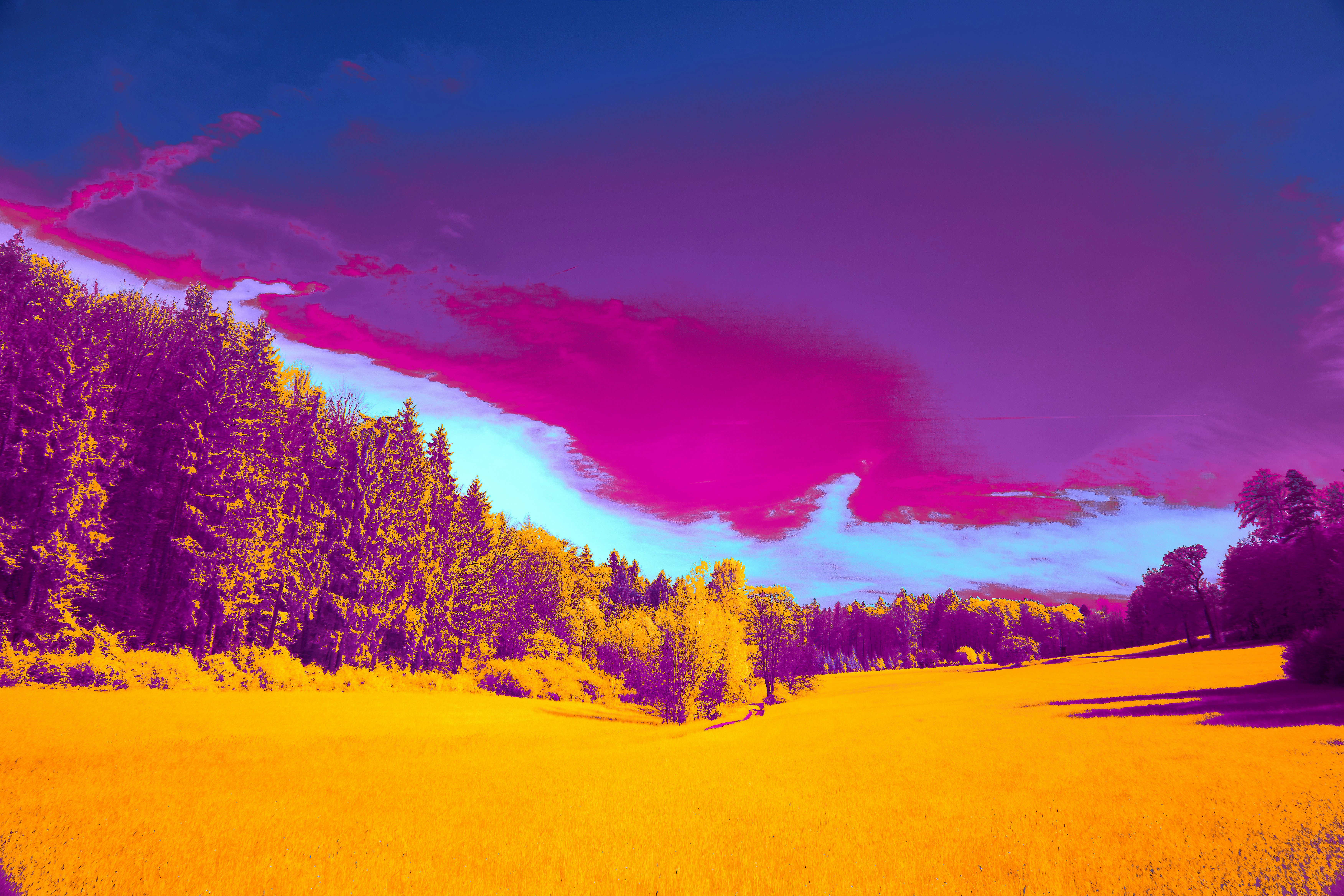 Photo by wolfgang_hasselmann