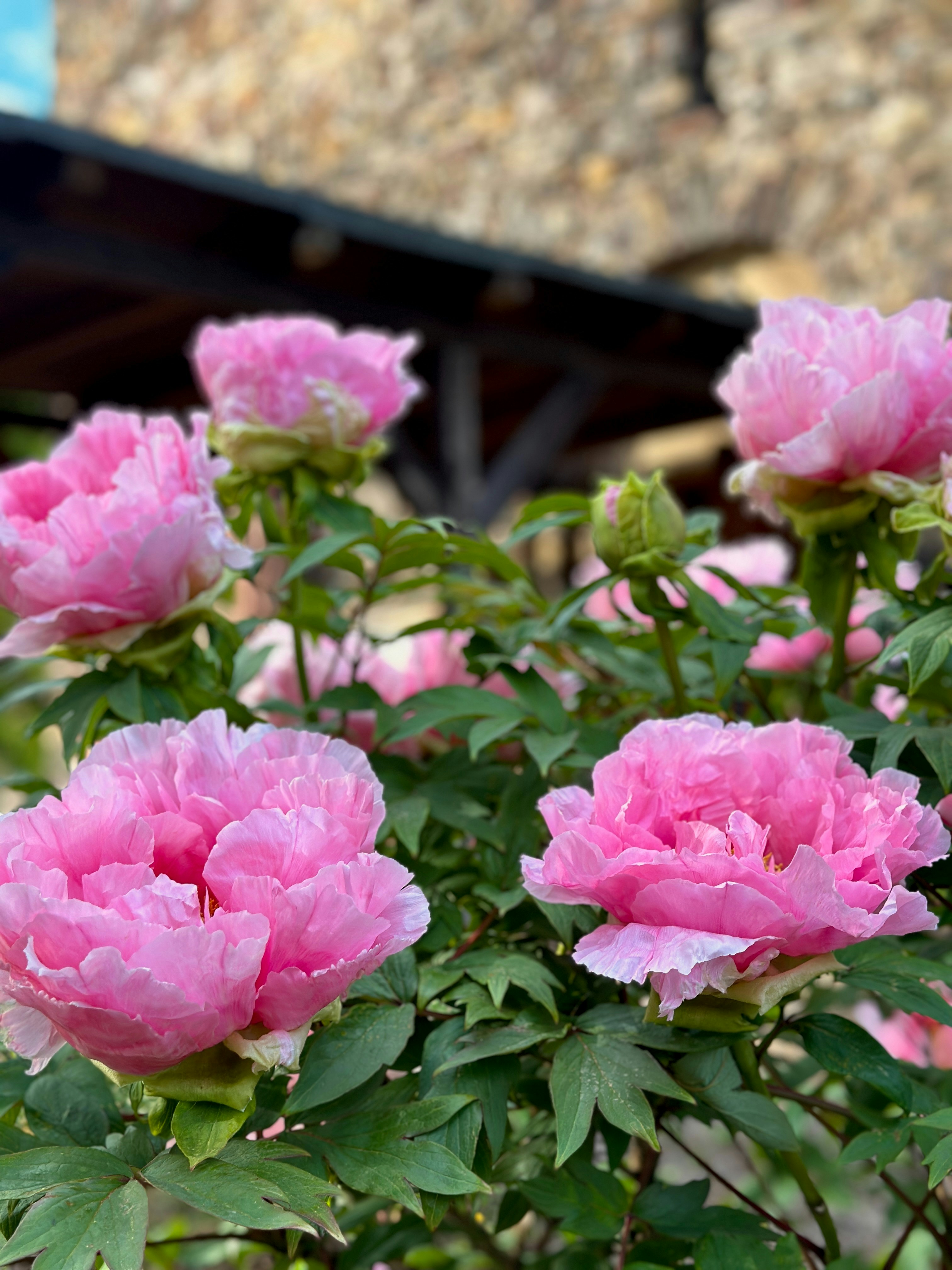 Photo by wald_creations