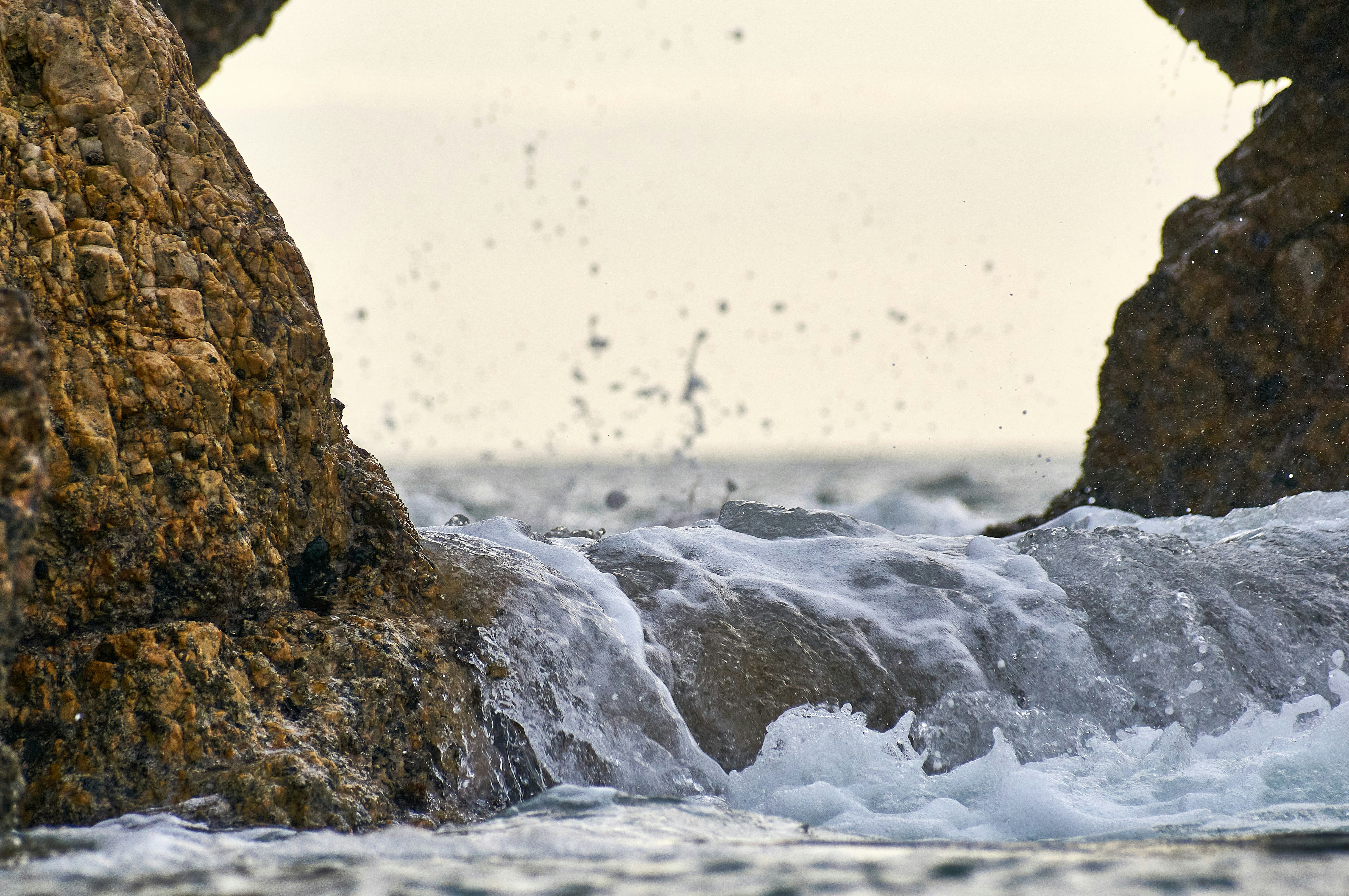 Photo by wolfgang_hasselmann