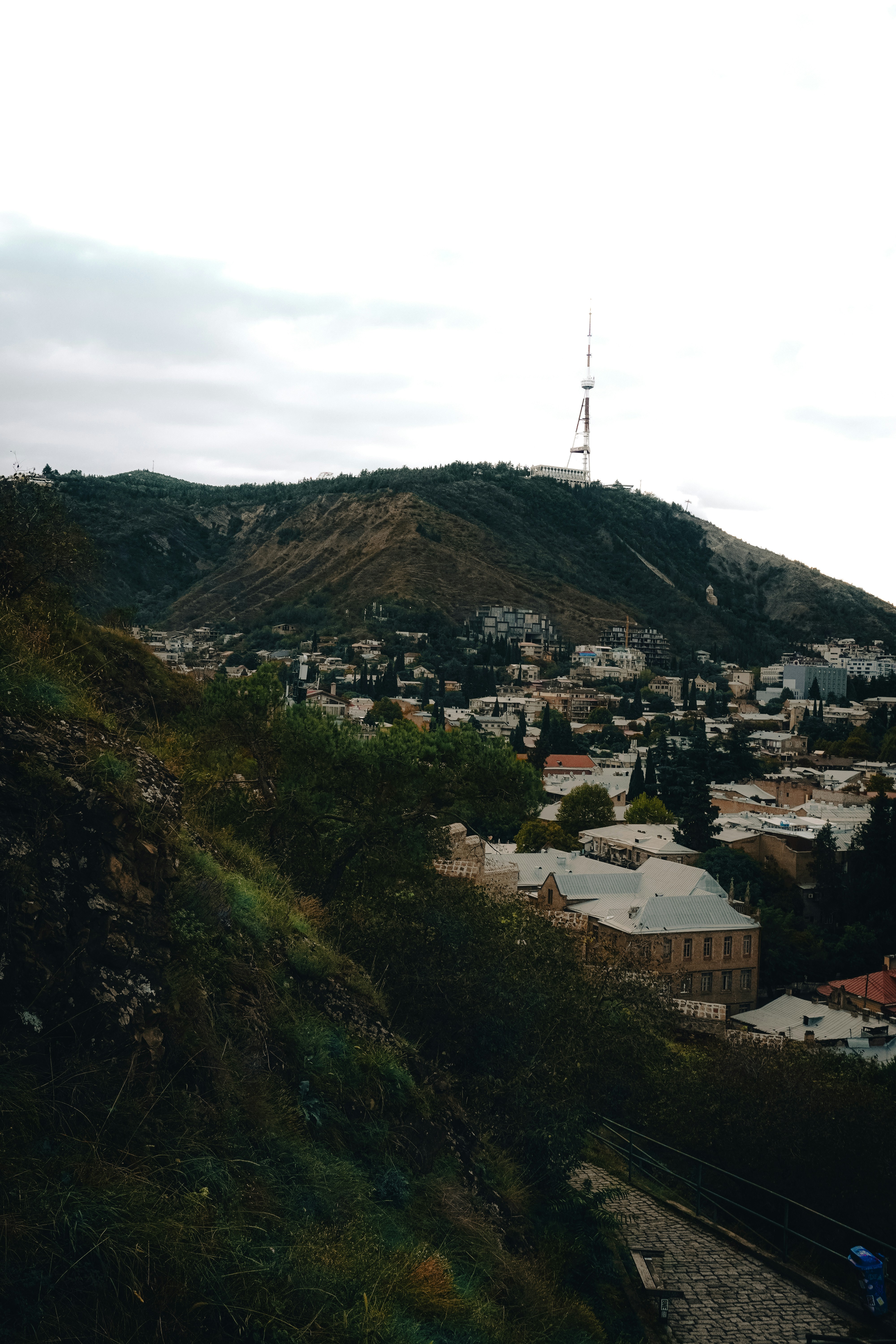 Tbilisi 3