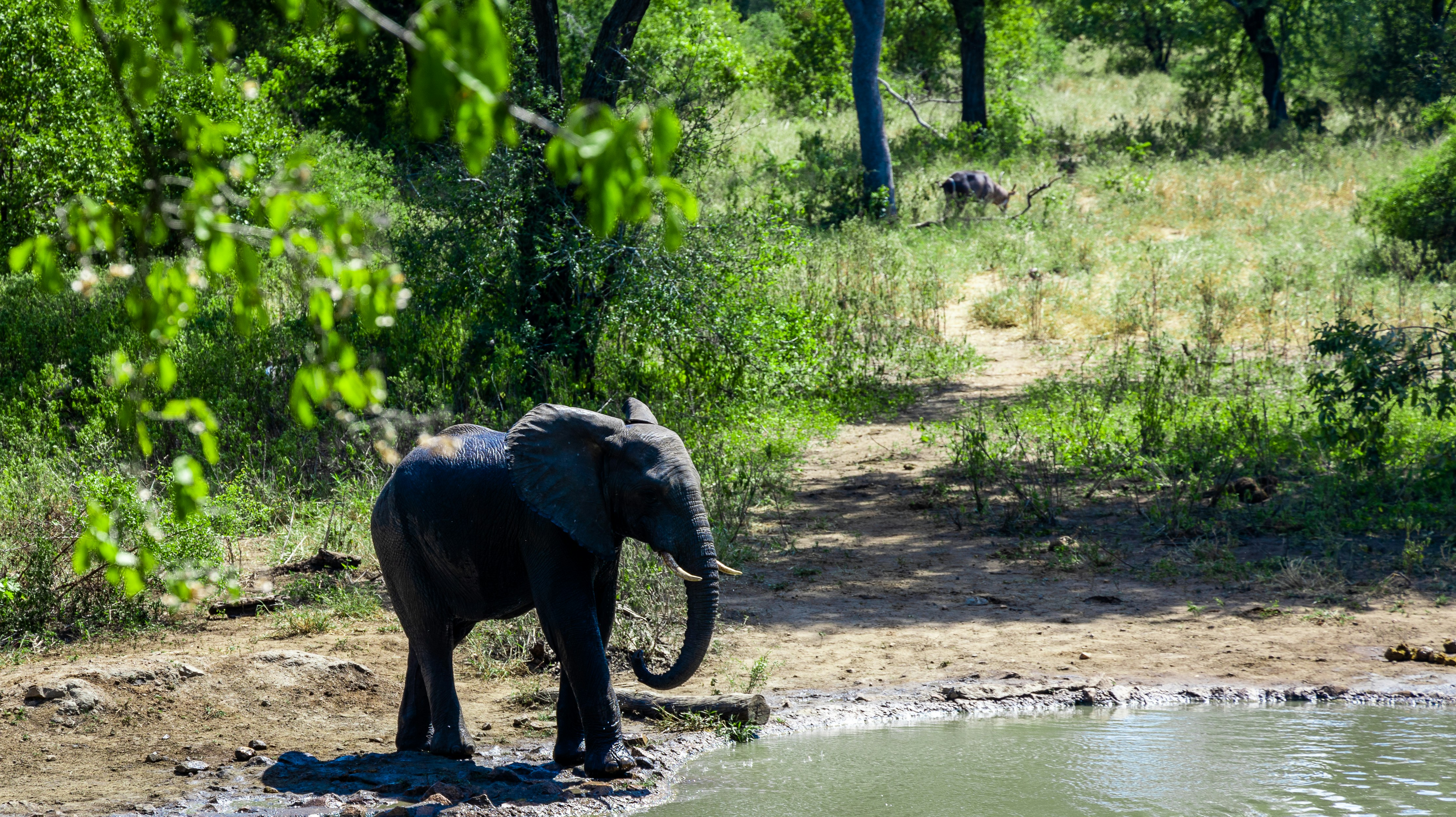 Stay online in the Malawi with a prepaid eSIM from eSIMlii. Instant activation, no roaming charges, and reliable coverage.