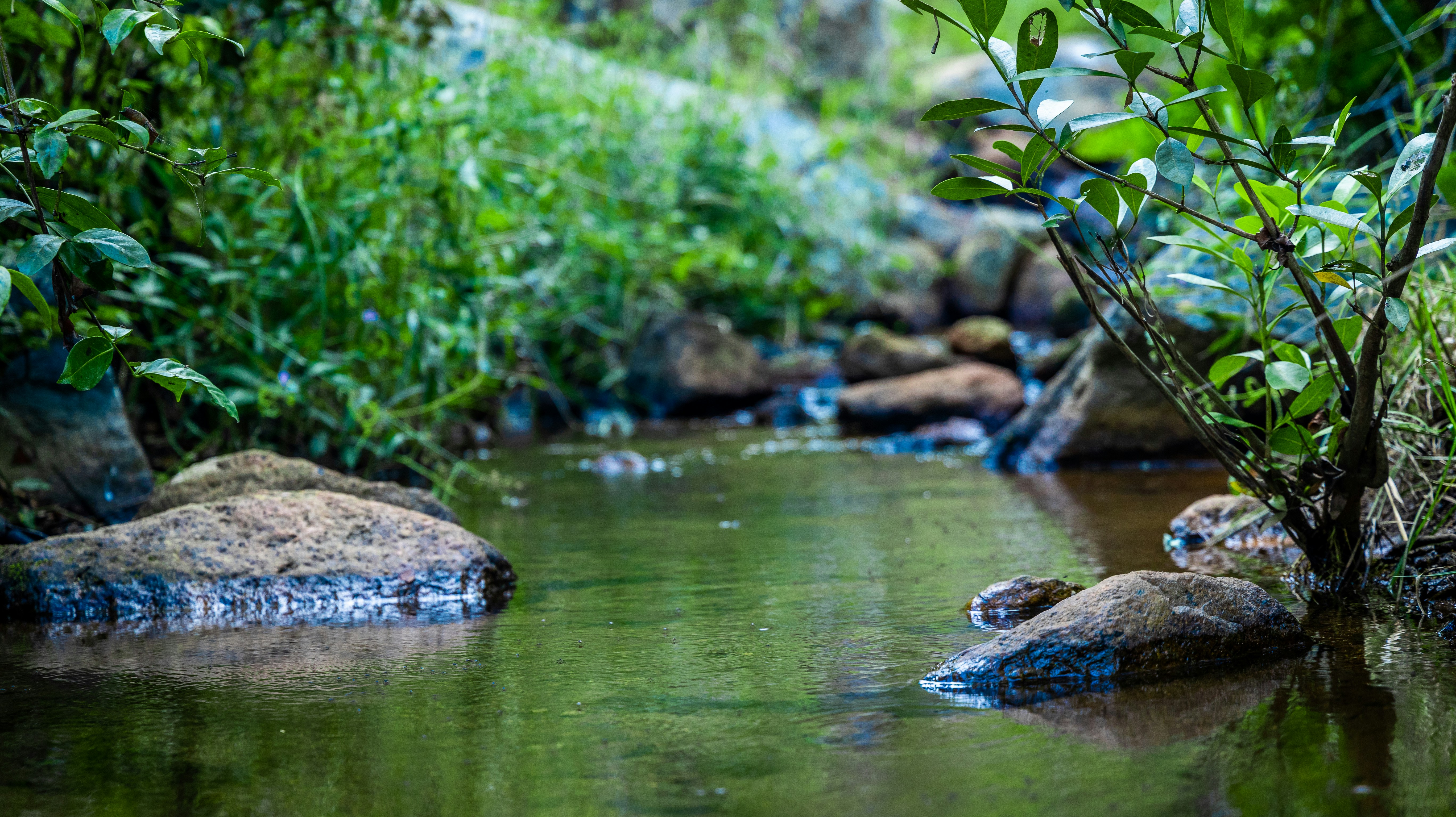 Imágenes de Agua Naturaleza | Descarga imágenes gratuitas en Unsplash, image size:3000x1684
