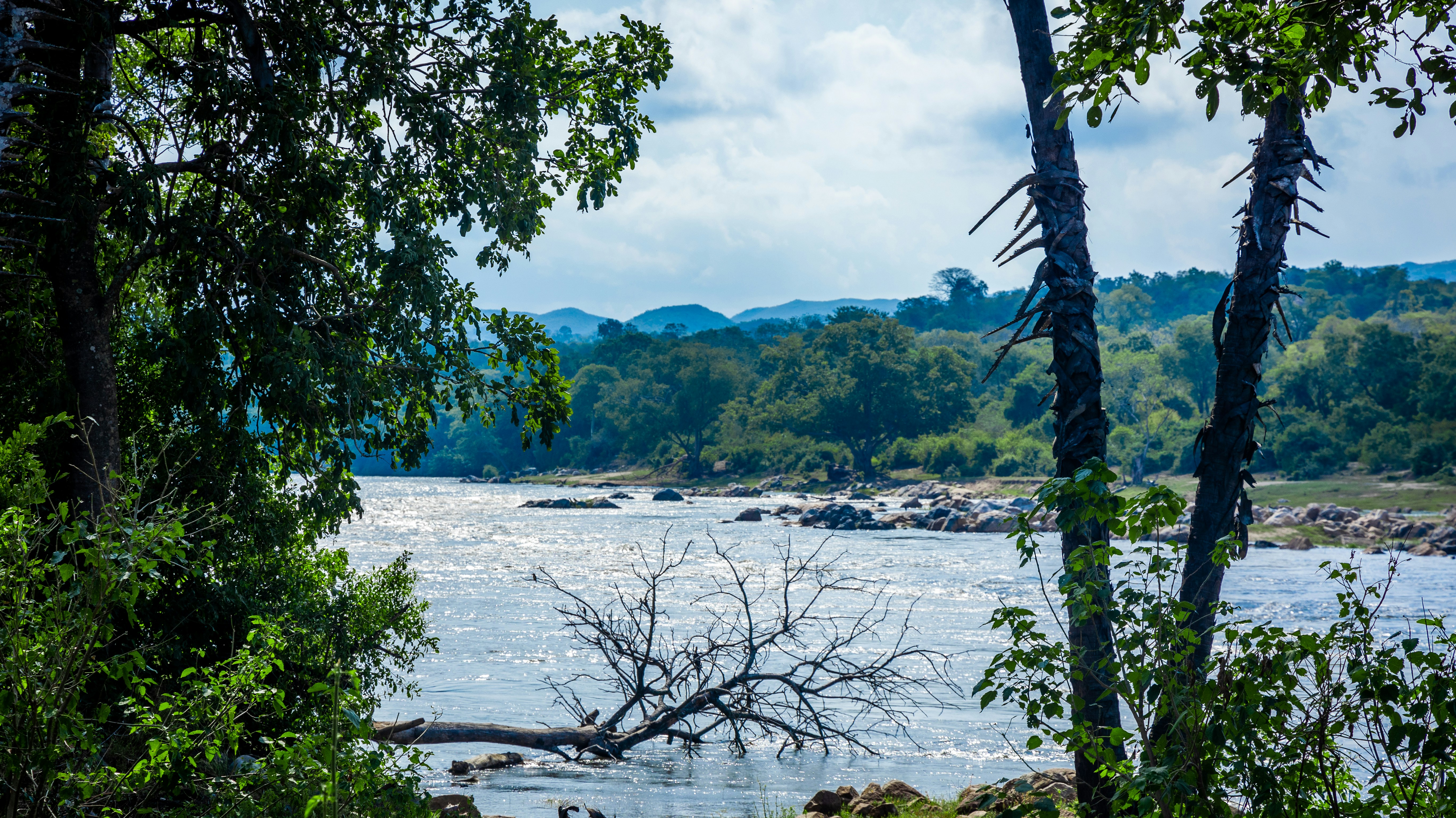 Waters Edge Liwonde