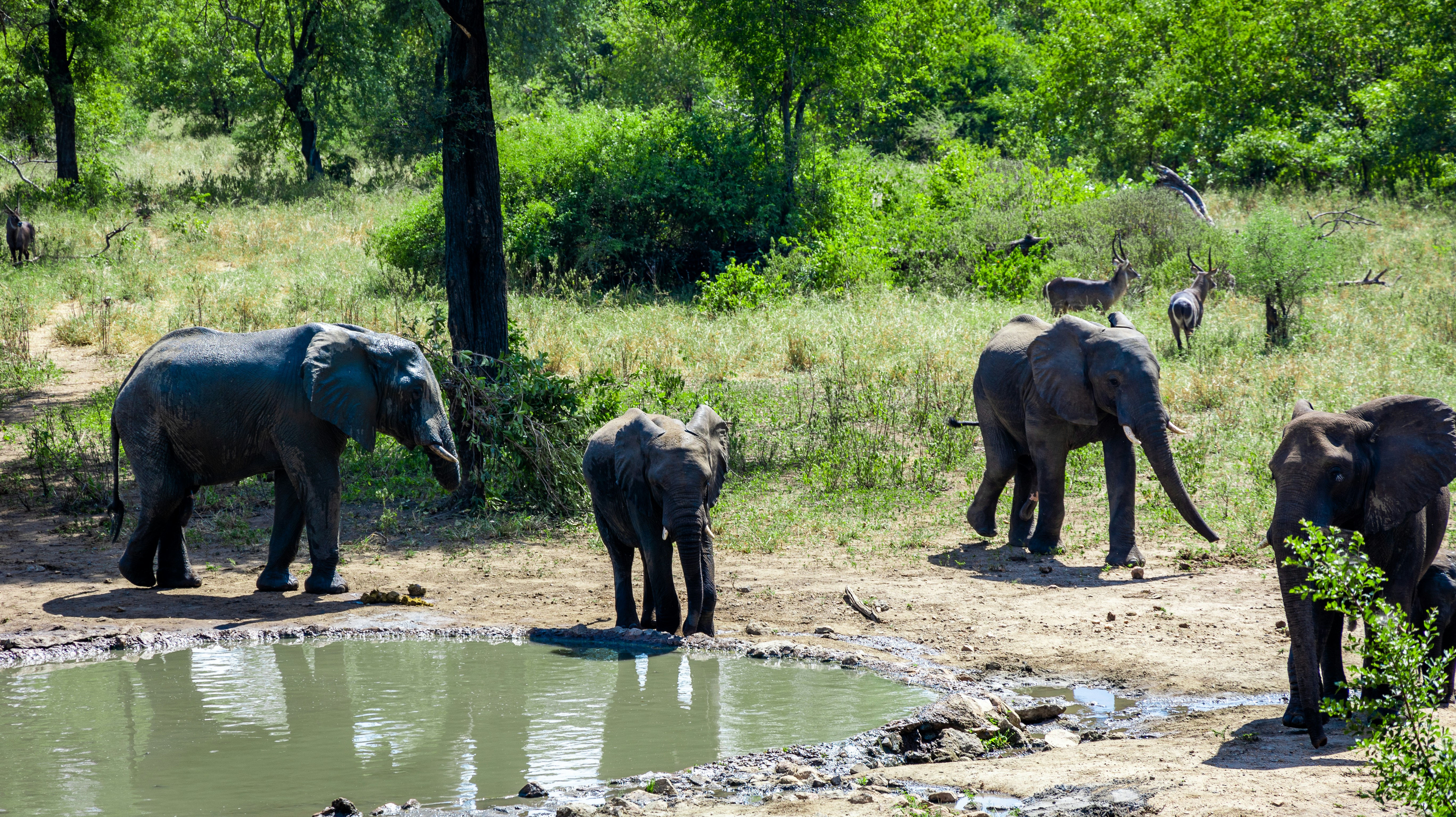 Stay online in the Malawi with a prepaid eSIM from eSIMlii. Instant activation, no roaming charges, and reliable coverage.