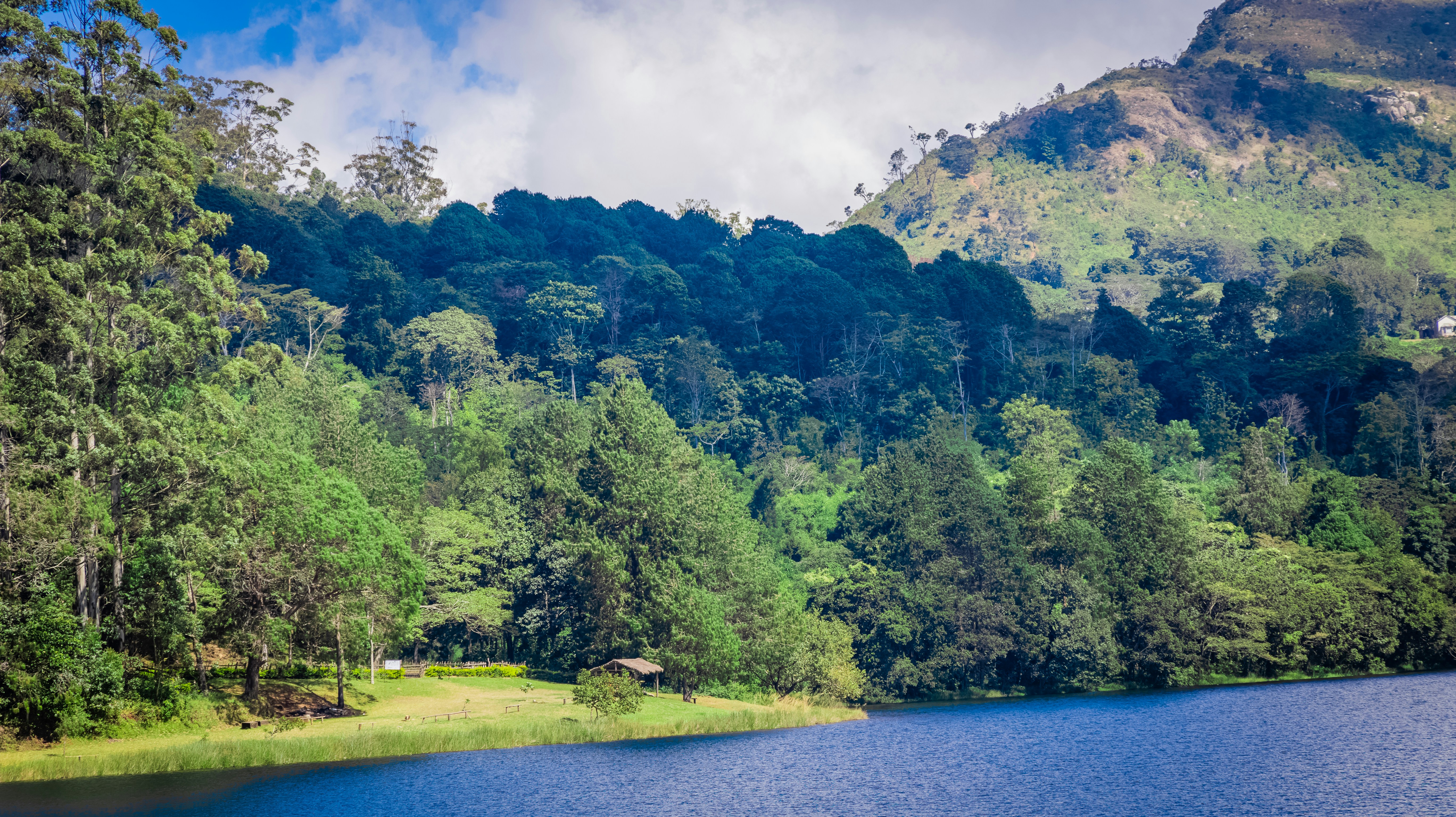 a large body of water surrounded by trees, 
