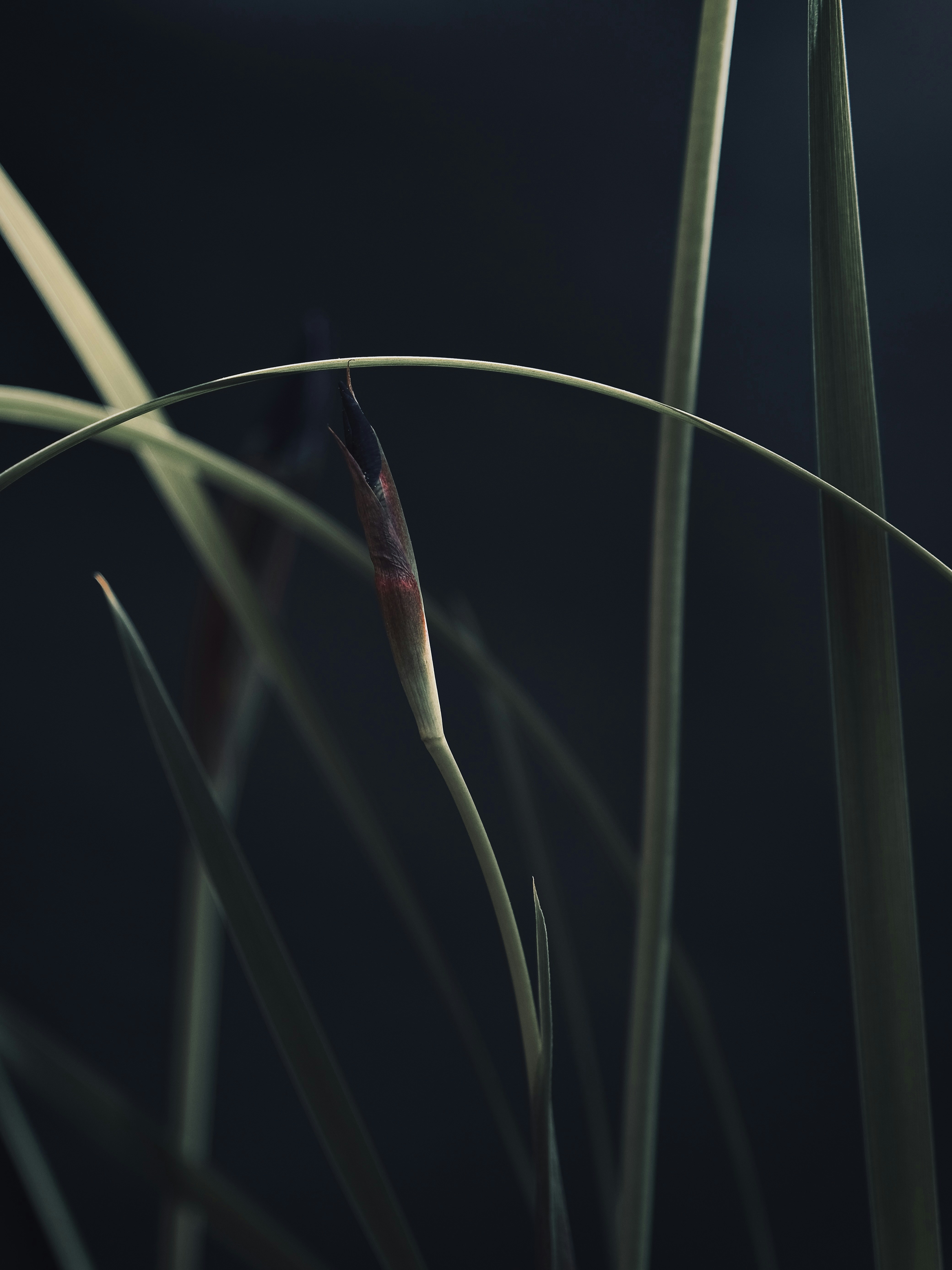 Photo by mkrawczynski