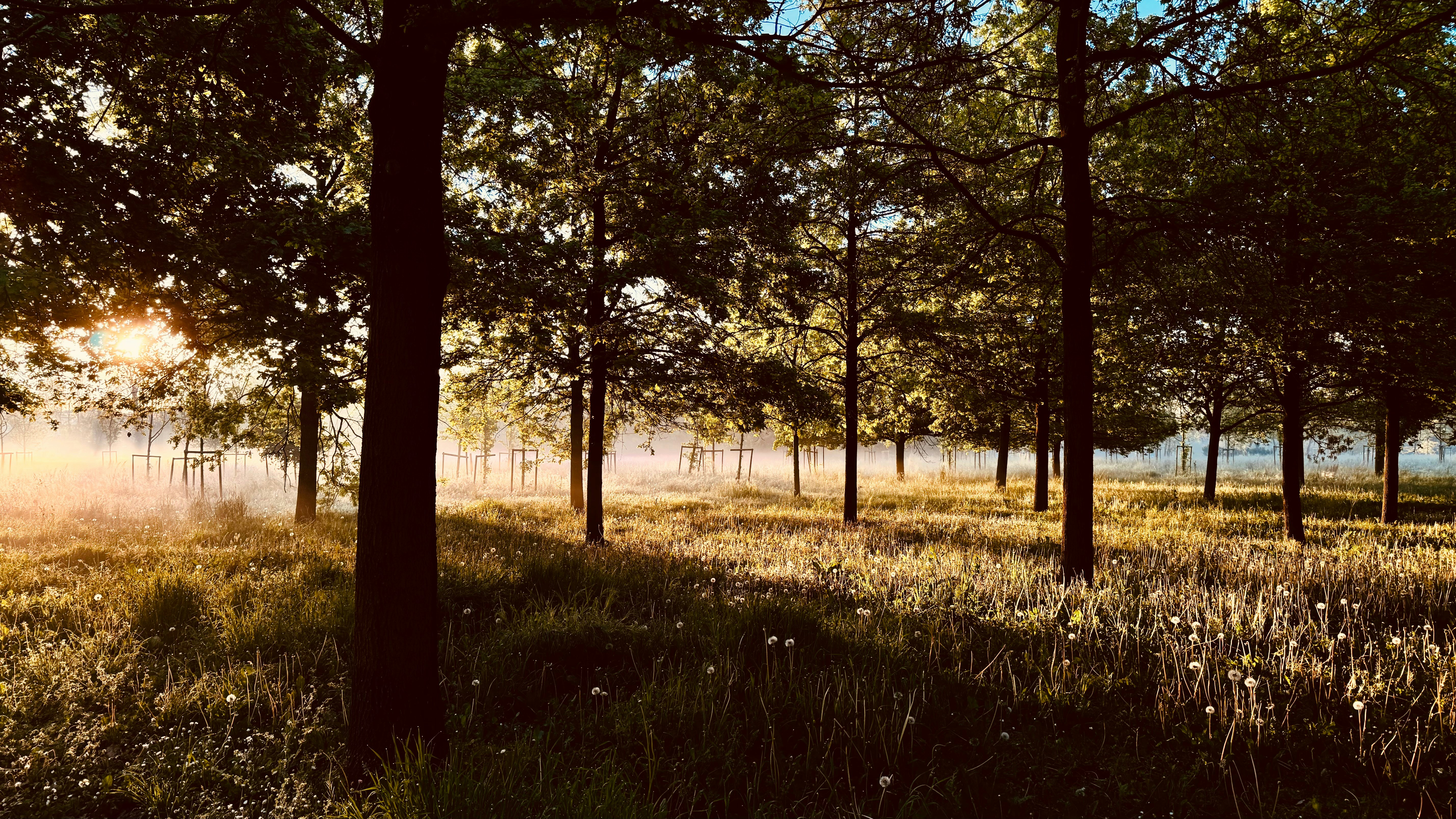 Photo by manikyammahi