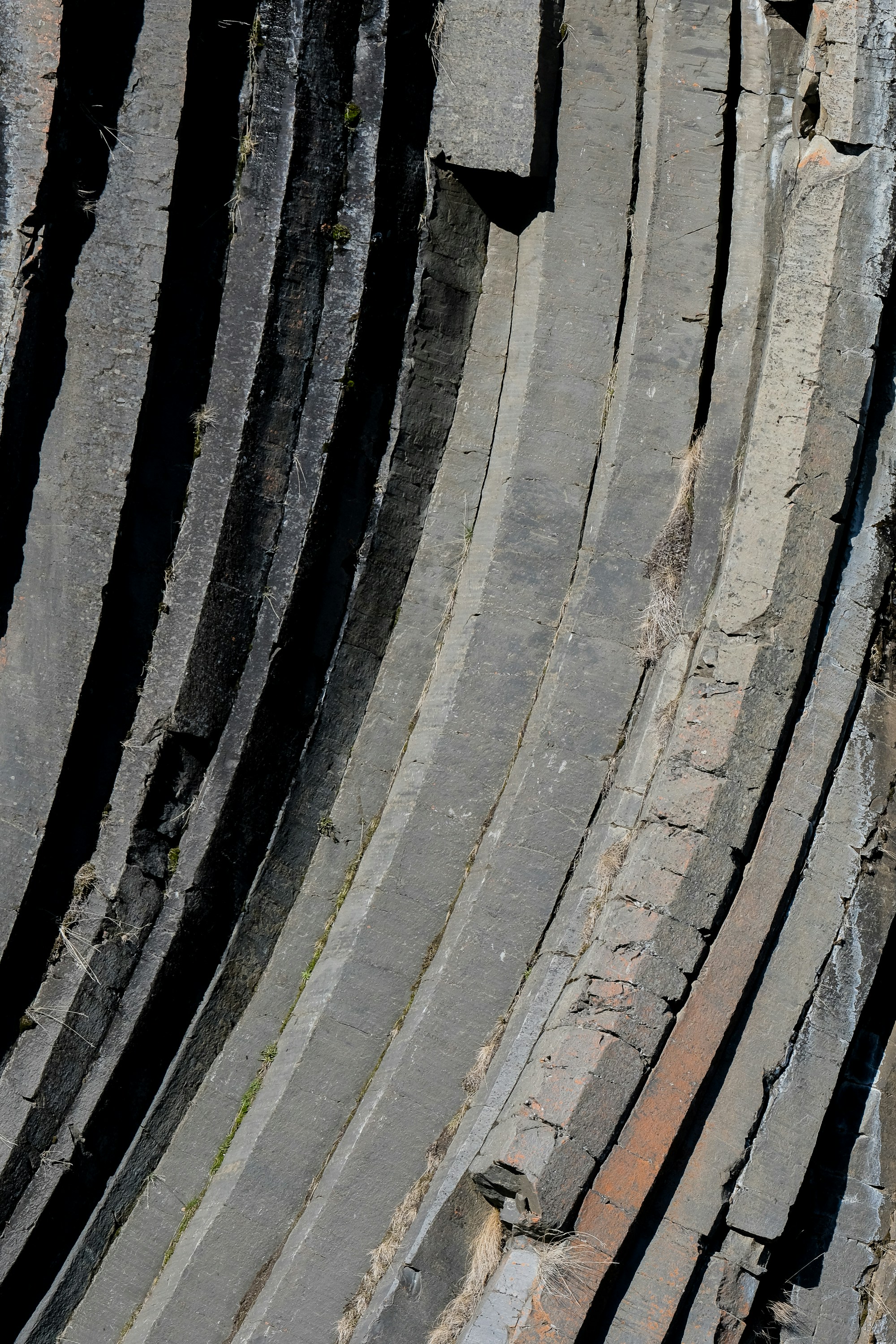 Photo by cestmoisheedy