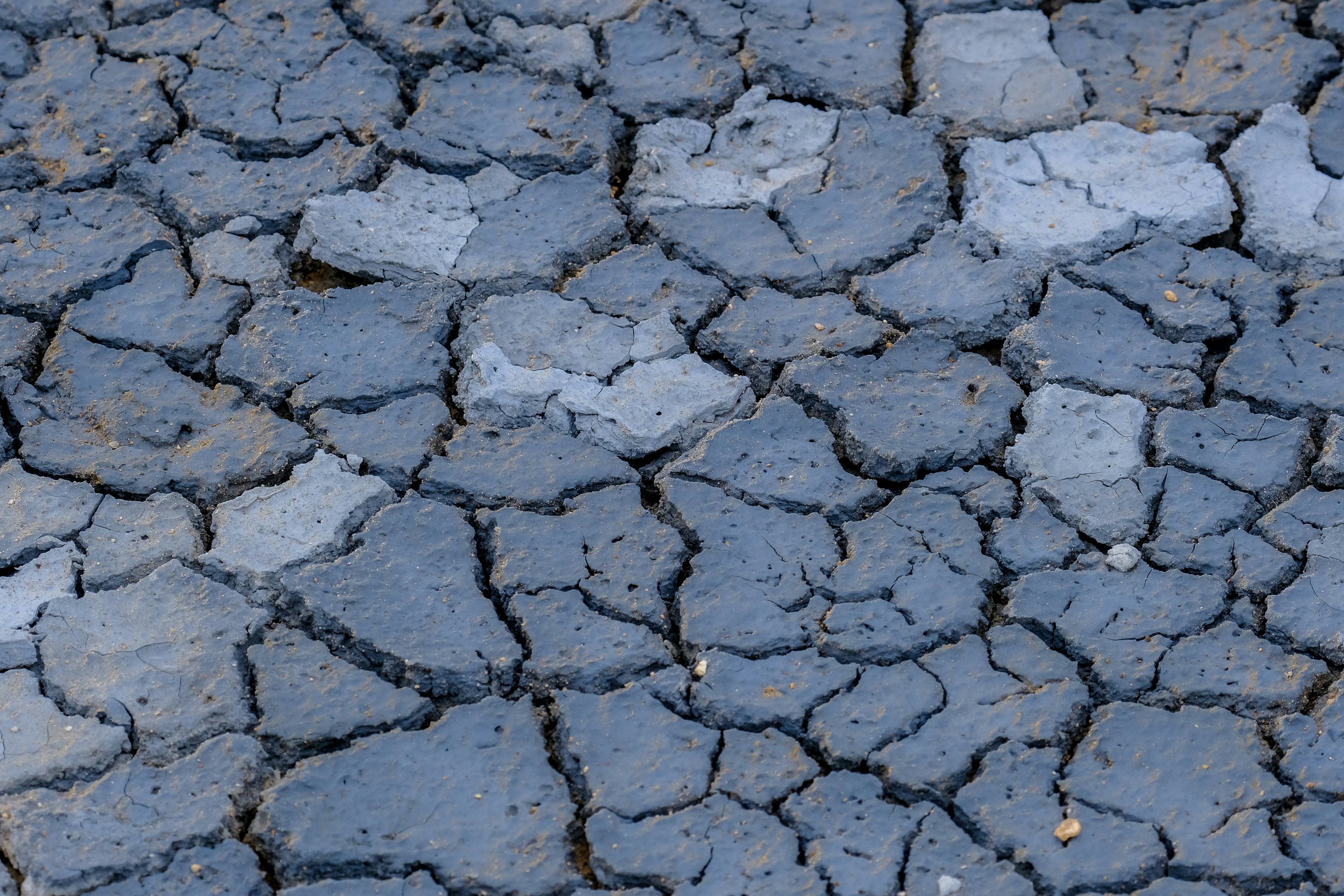 Photo by cestmoisheedy