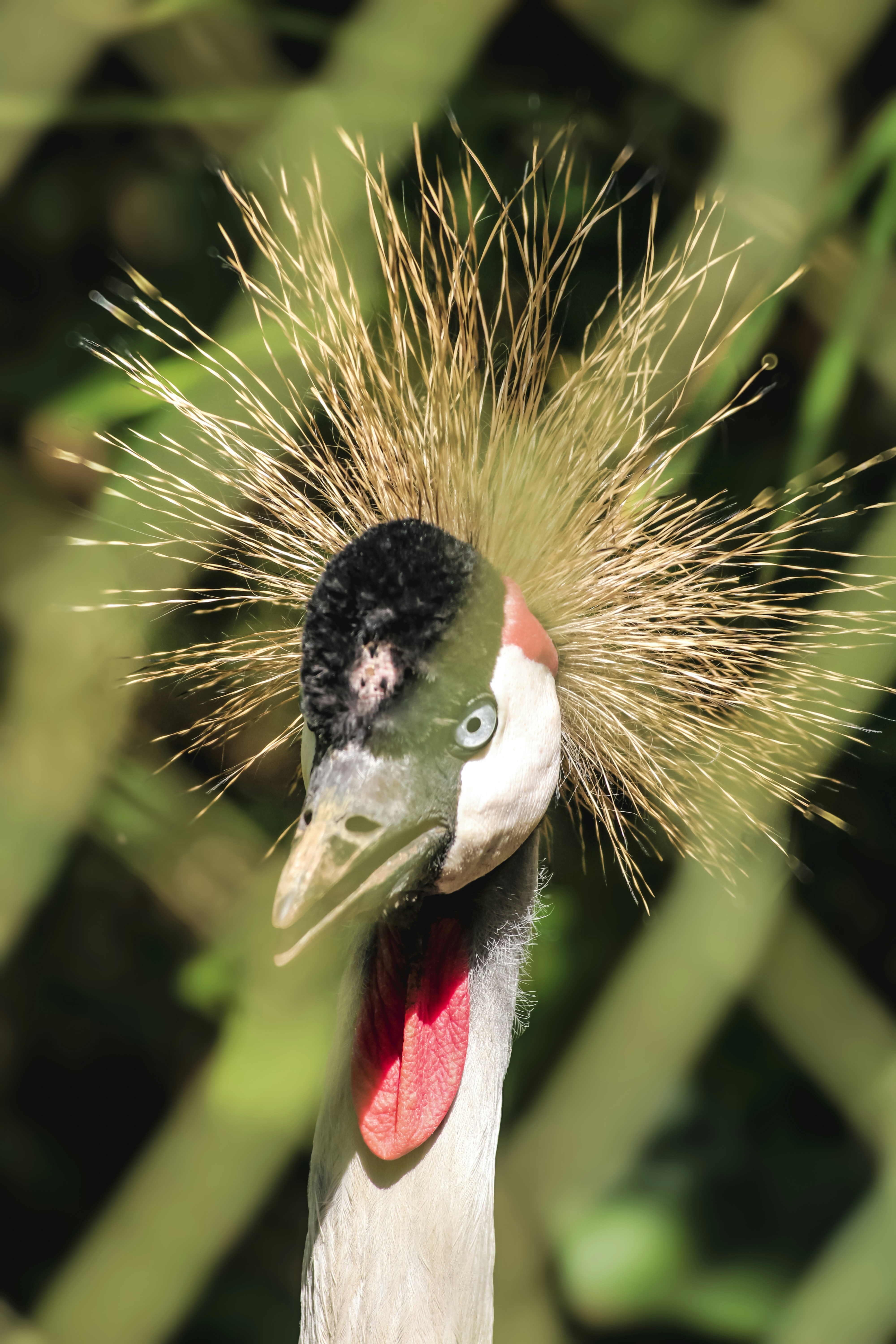 Photo by ankit_pai_n