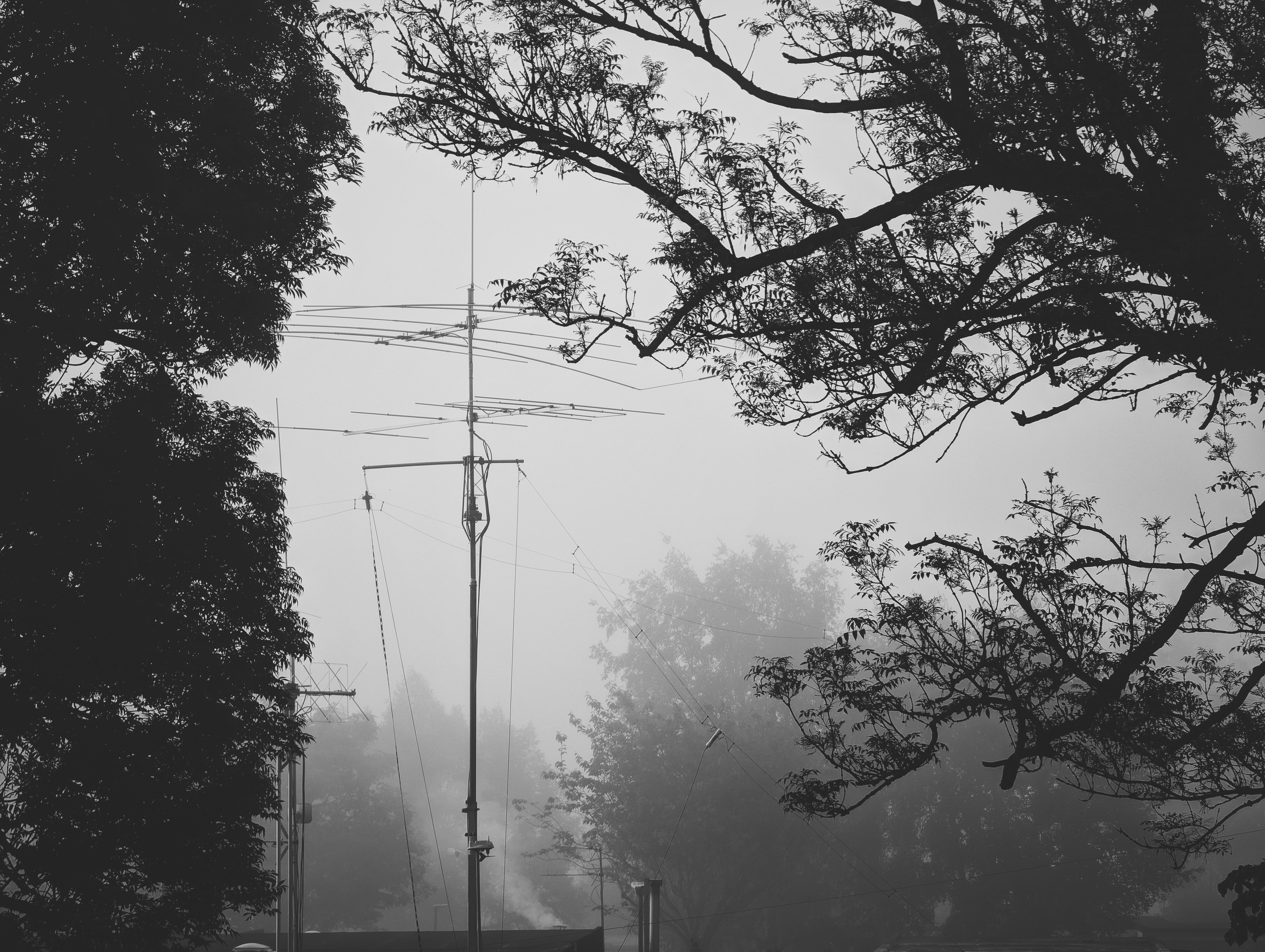 a black and white photo of a foggy street