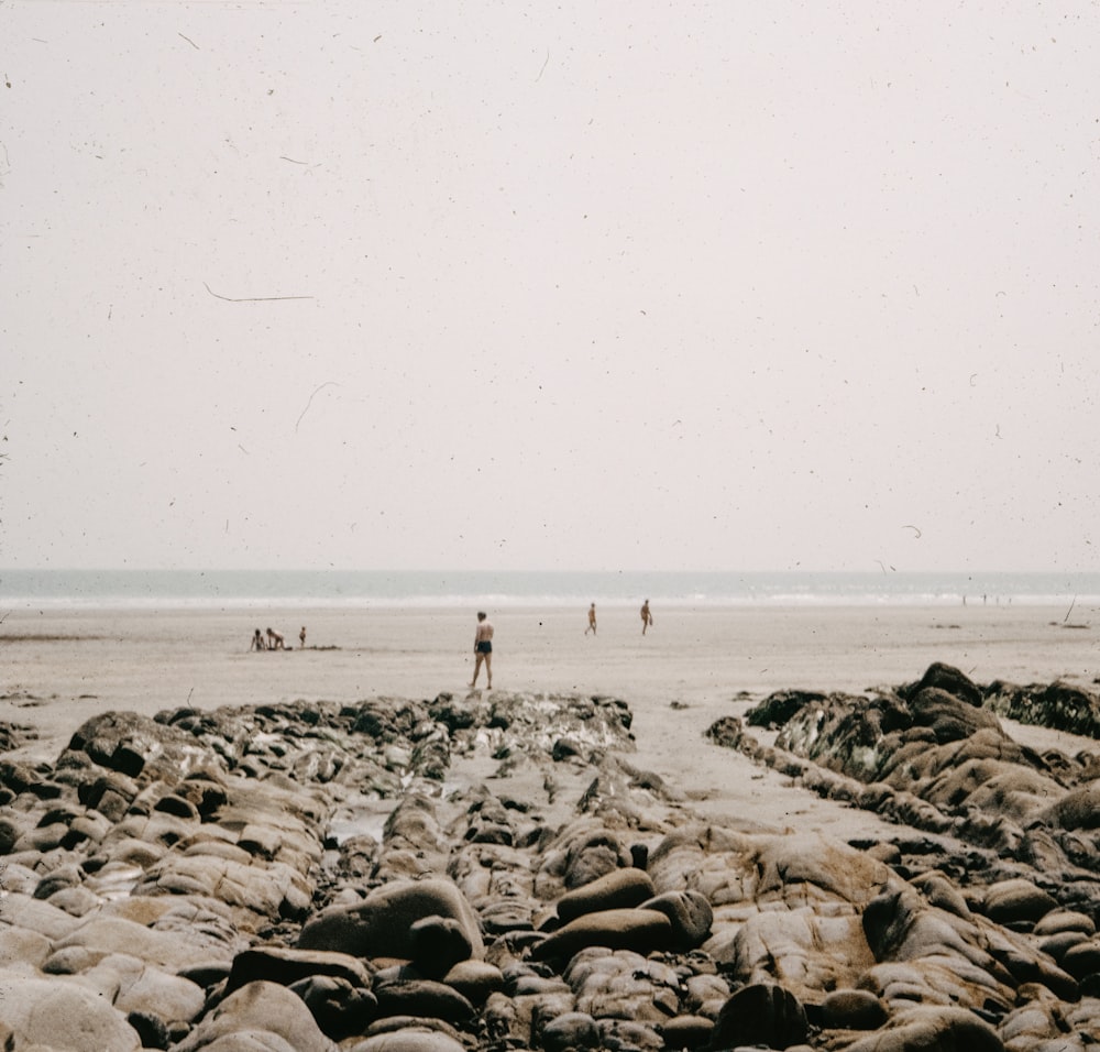 모래 사장 위에 서 있는 한 무리의 사람들