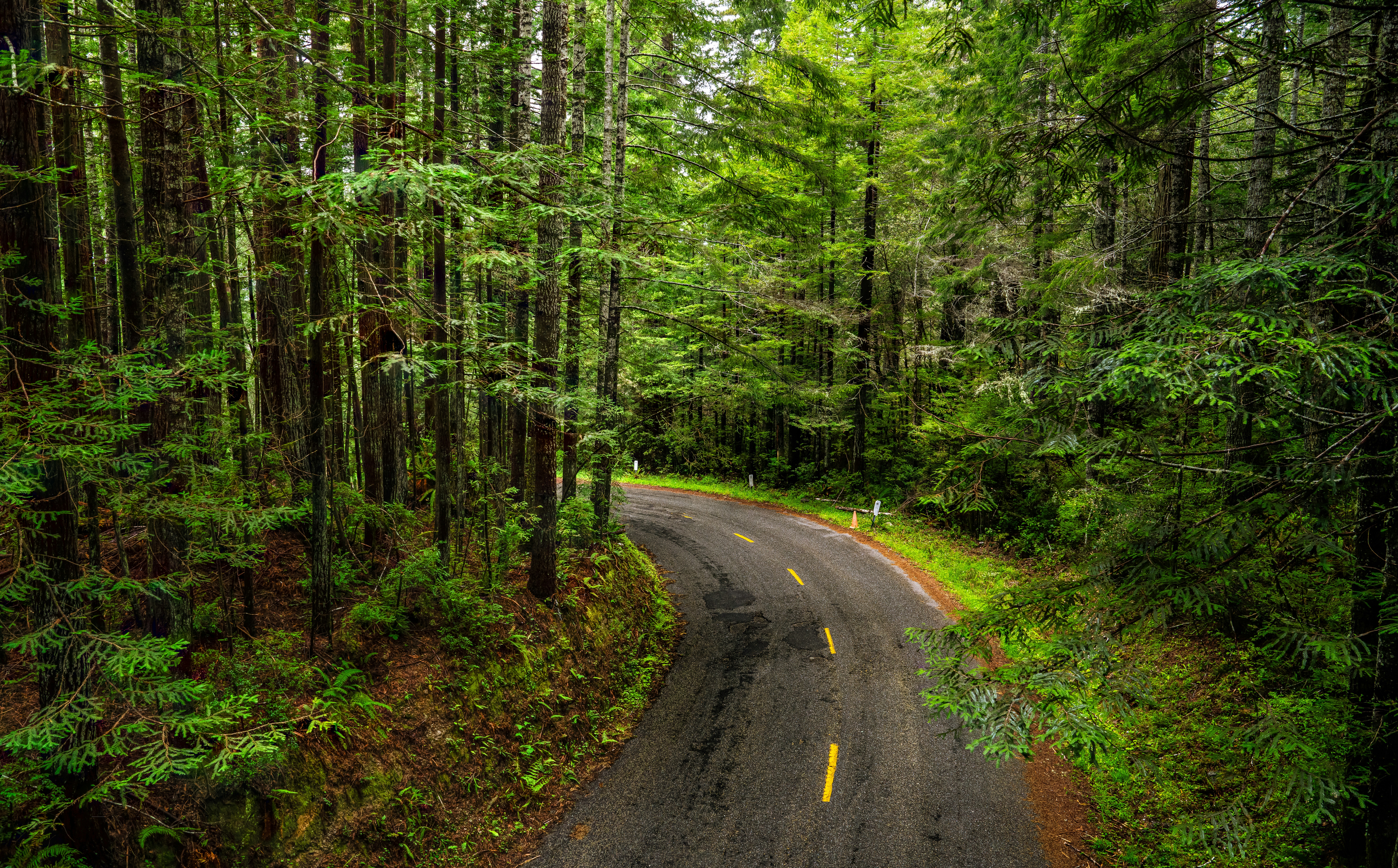 Photo by happy_pixel