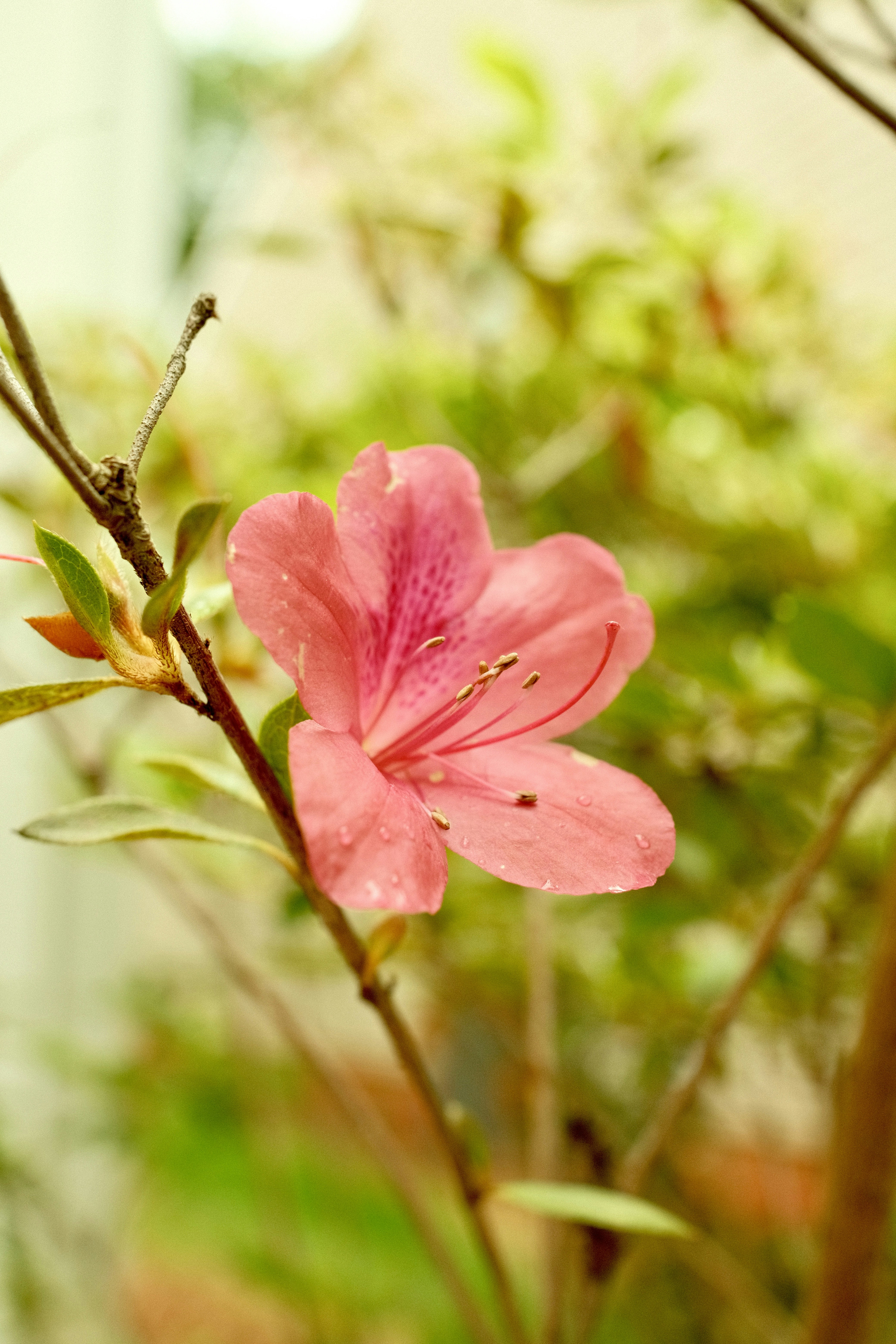 Photo by btcarpenter