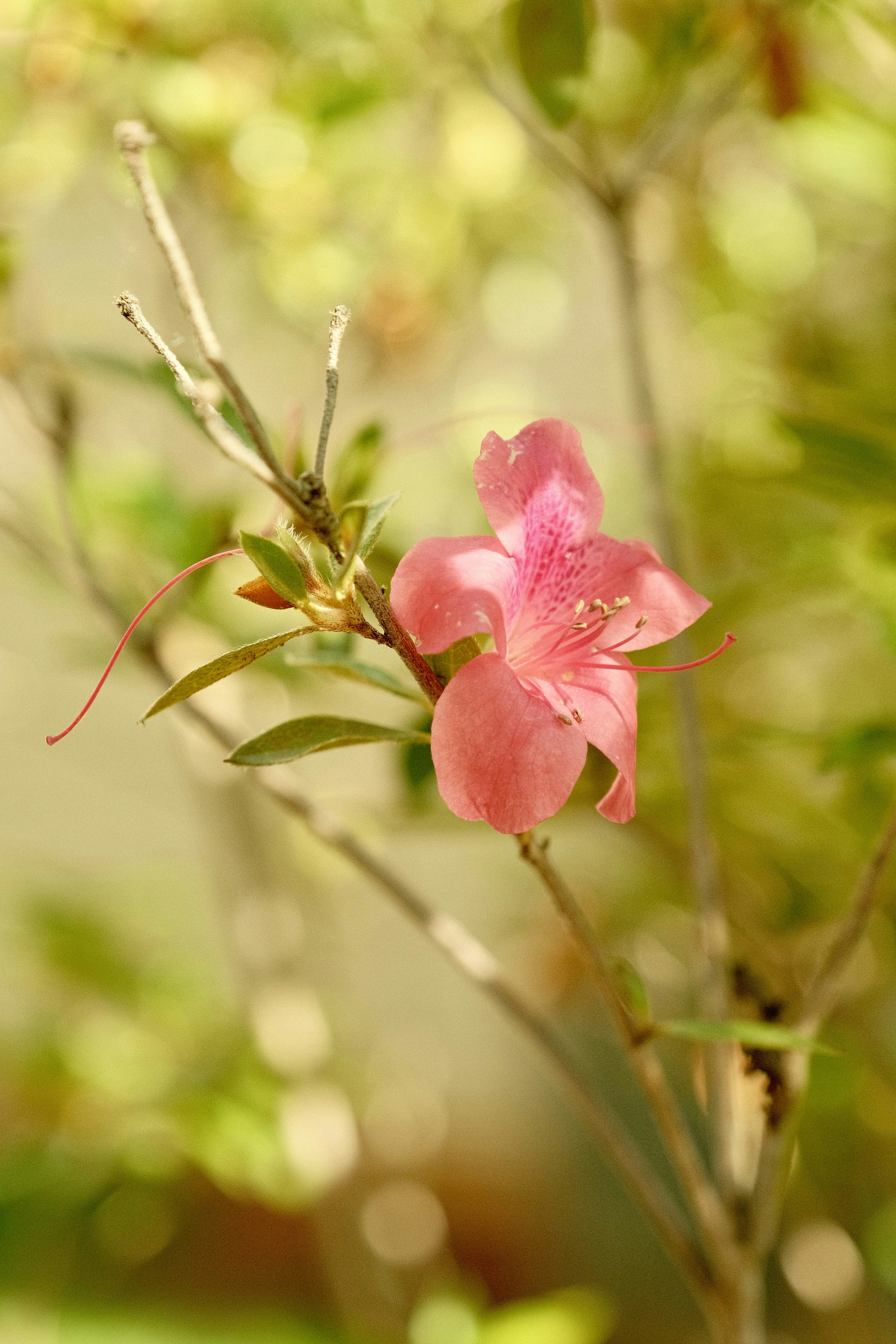 Photo by btcarpenter