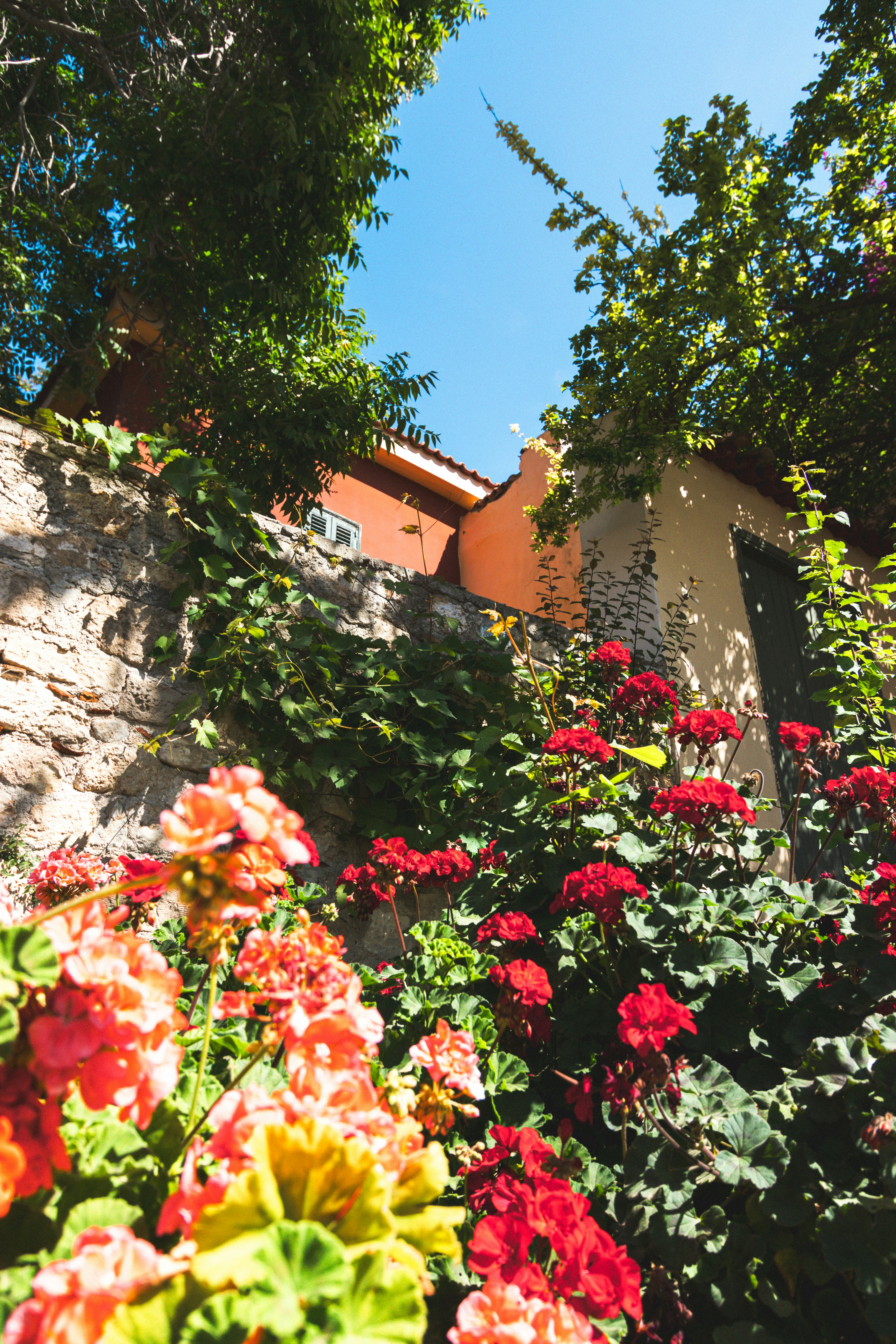 Photo by marco_pregnolato