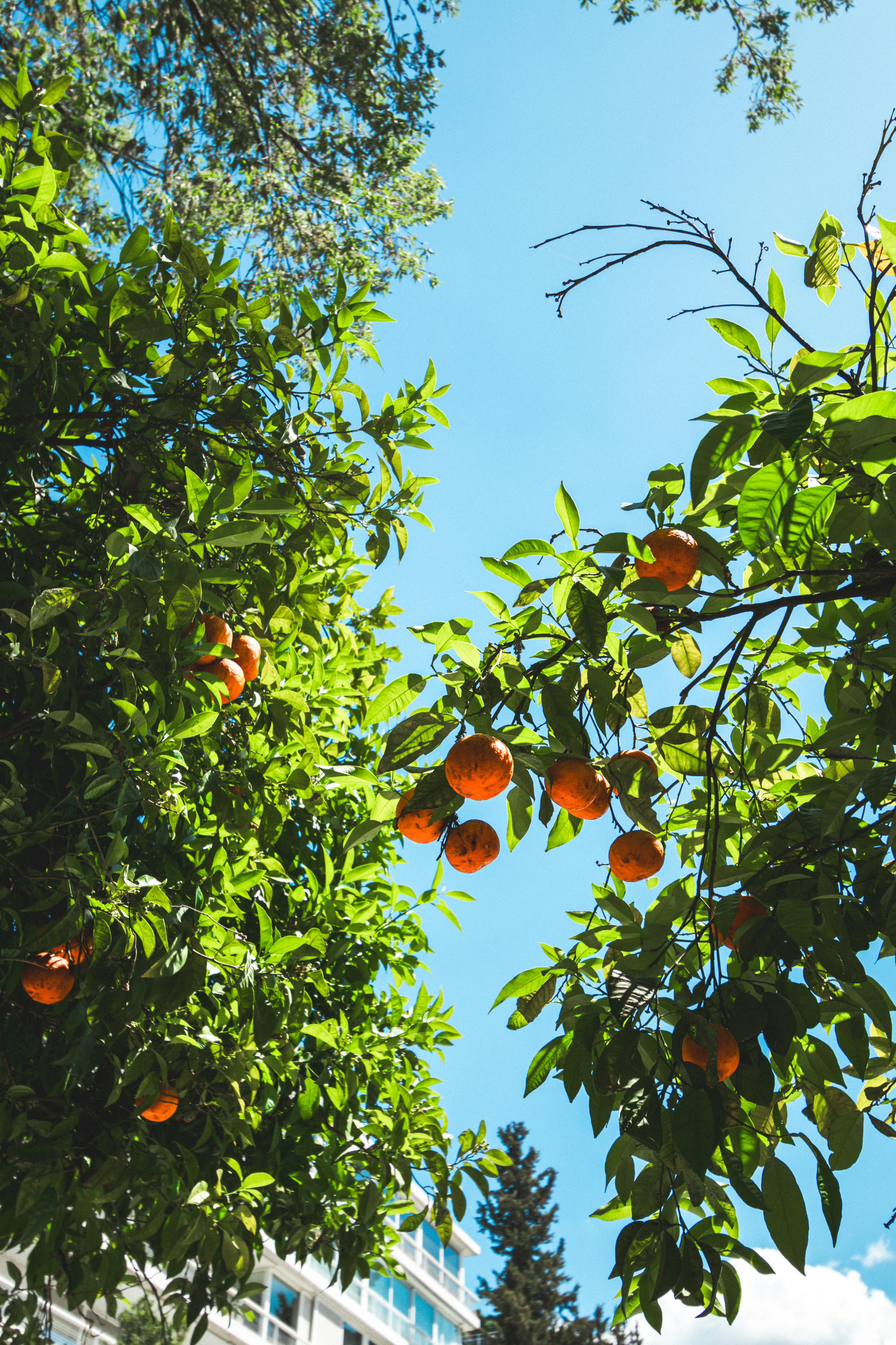 Photo by marco_pregnolato