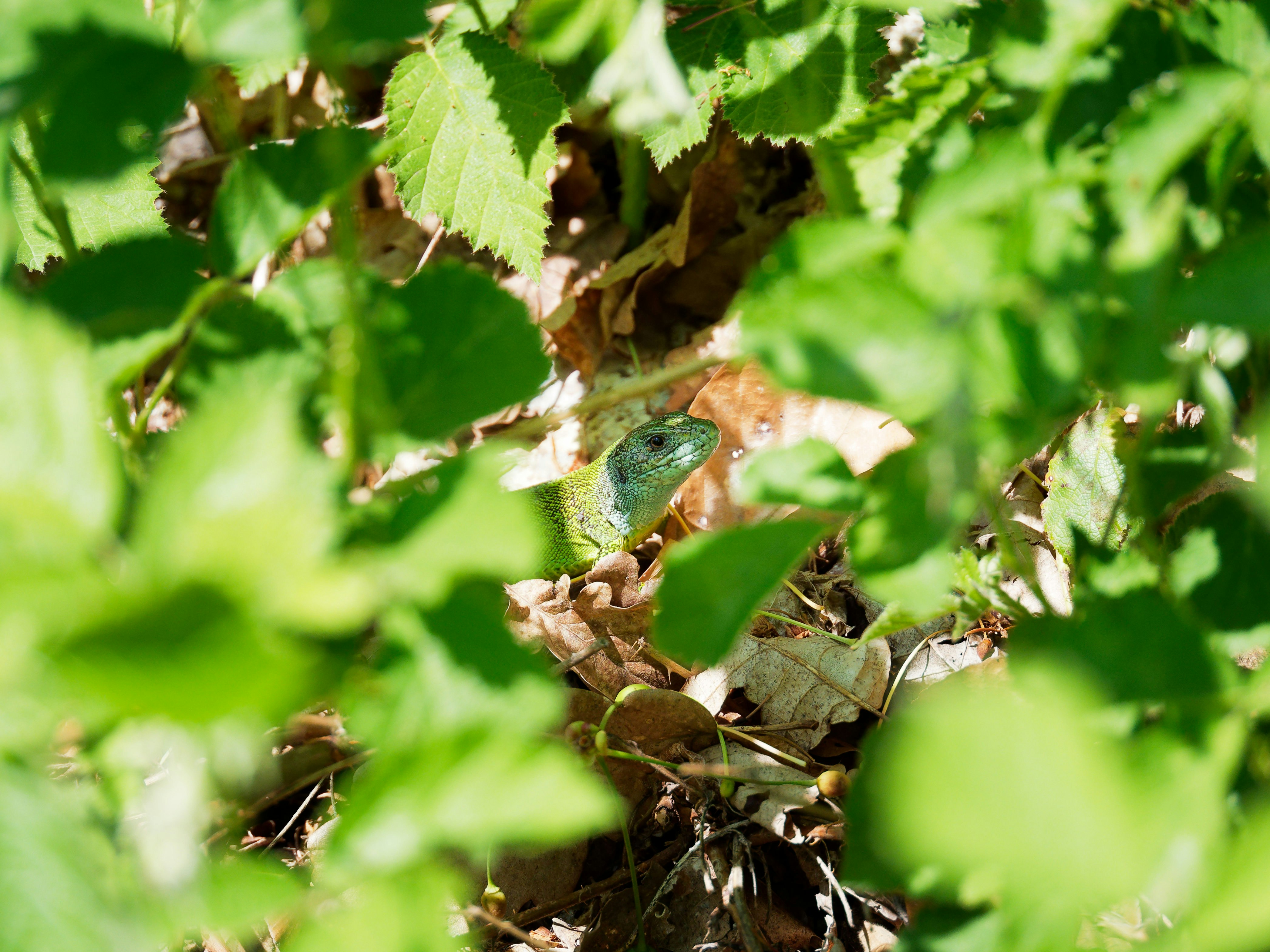 Photo by illes_cristi