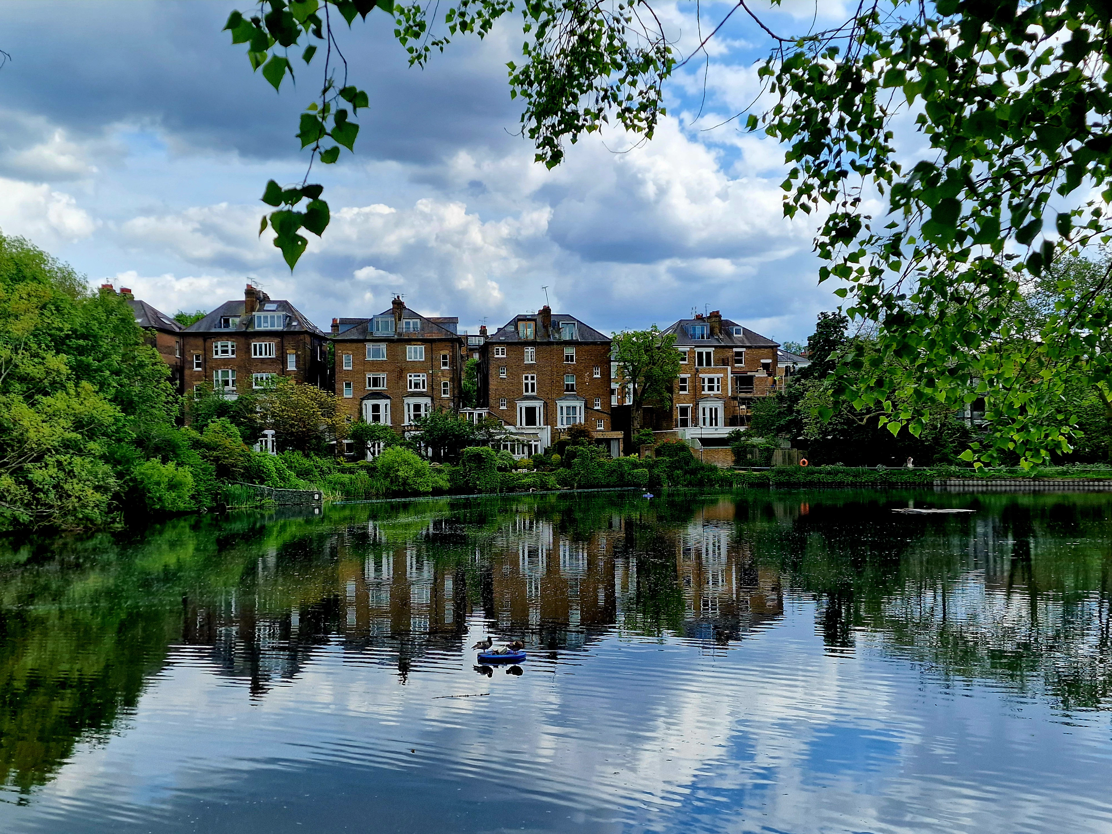 Red-brick houses reflected in a pond on Hampstead Heath
