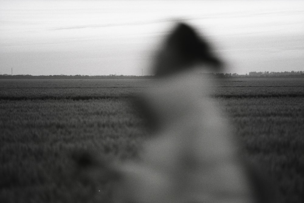 a blurry photo of a person in a field