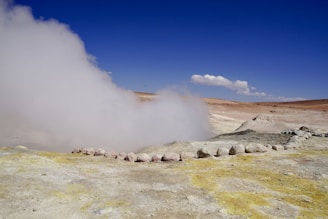 a geyser spewing water into the sky