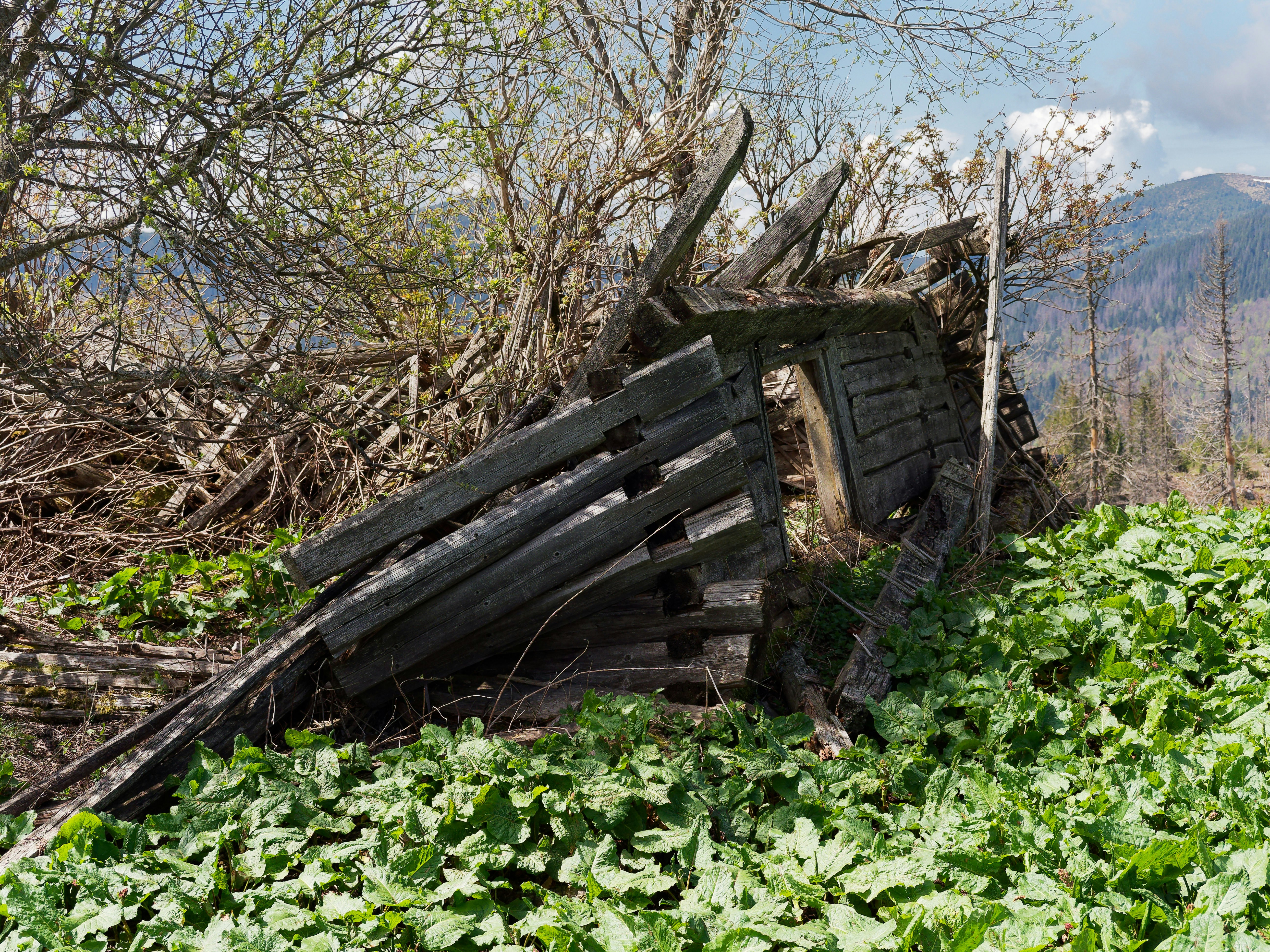 un tas de bois posé au sommet d’une colline verdoyante