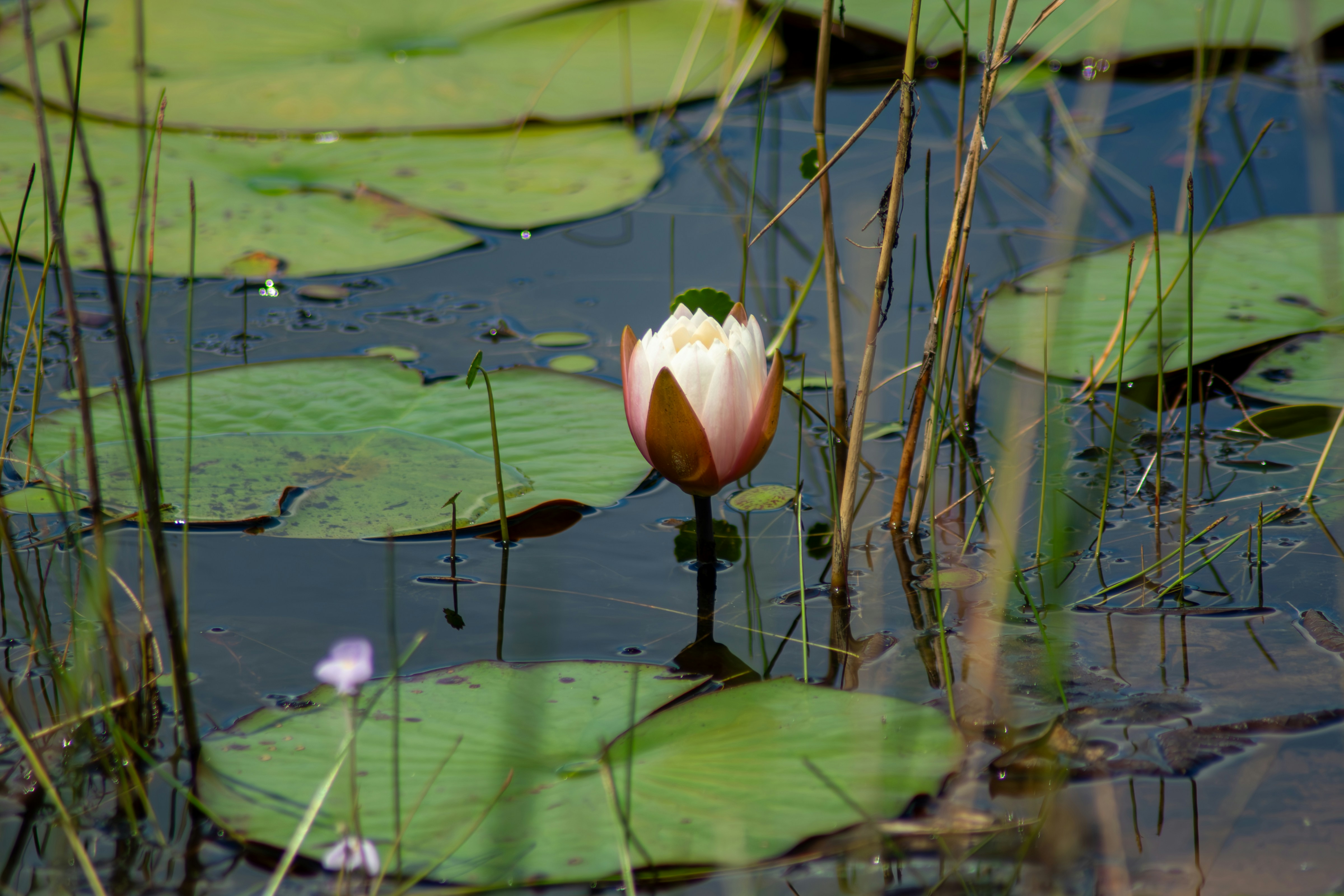 Photo by astro_civil