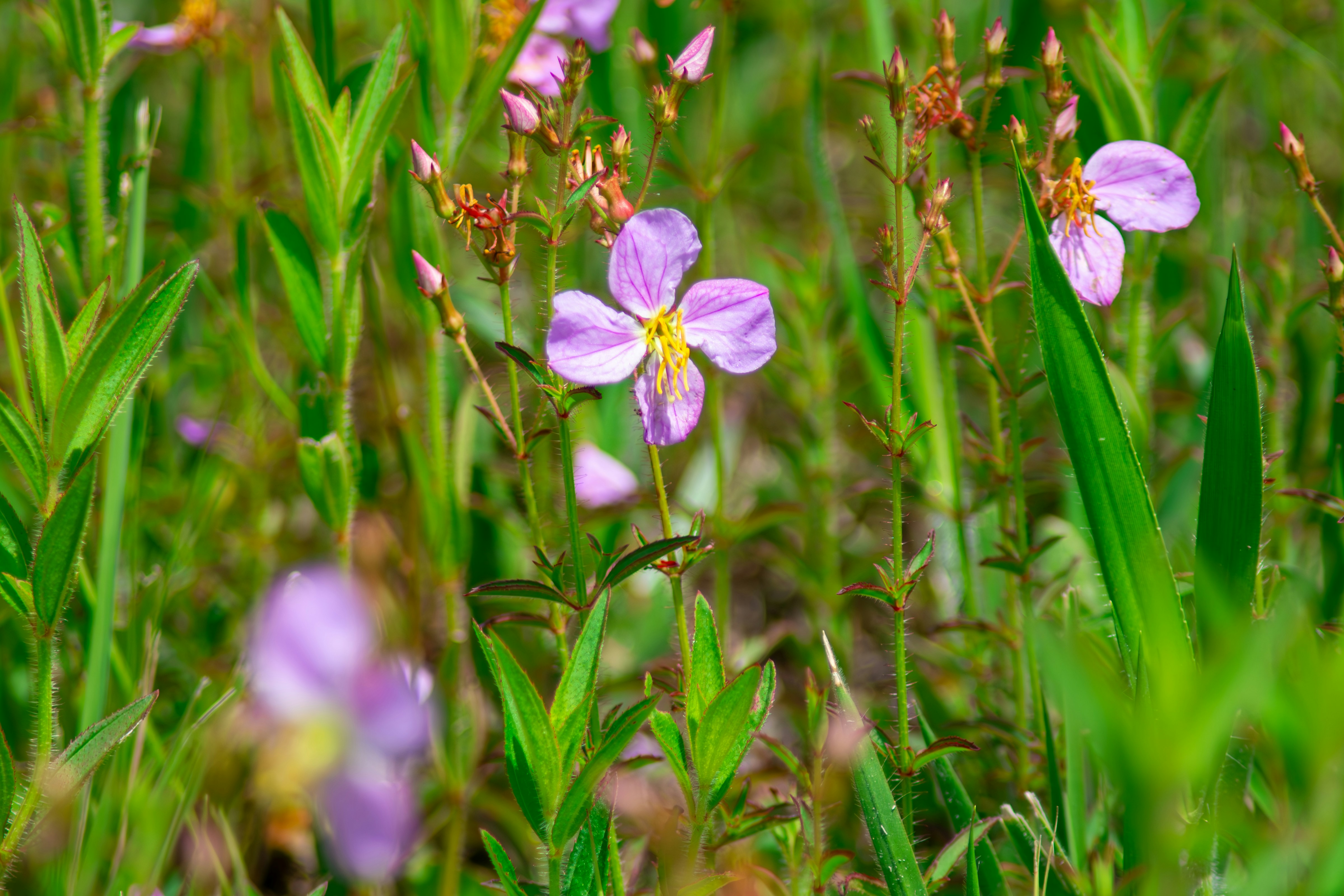 Photo by astro_civil