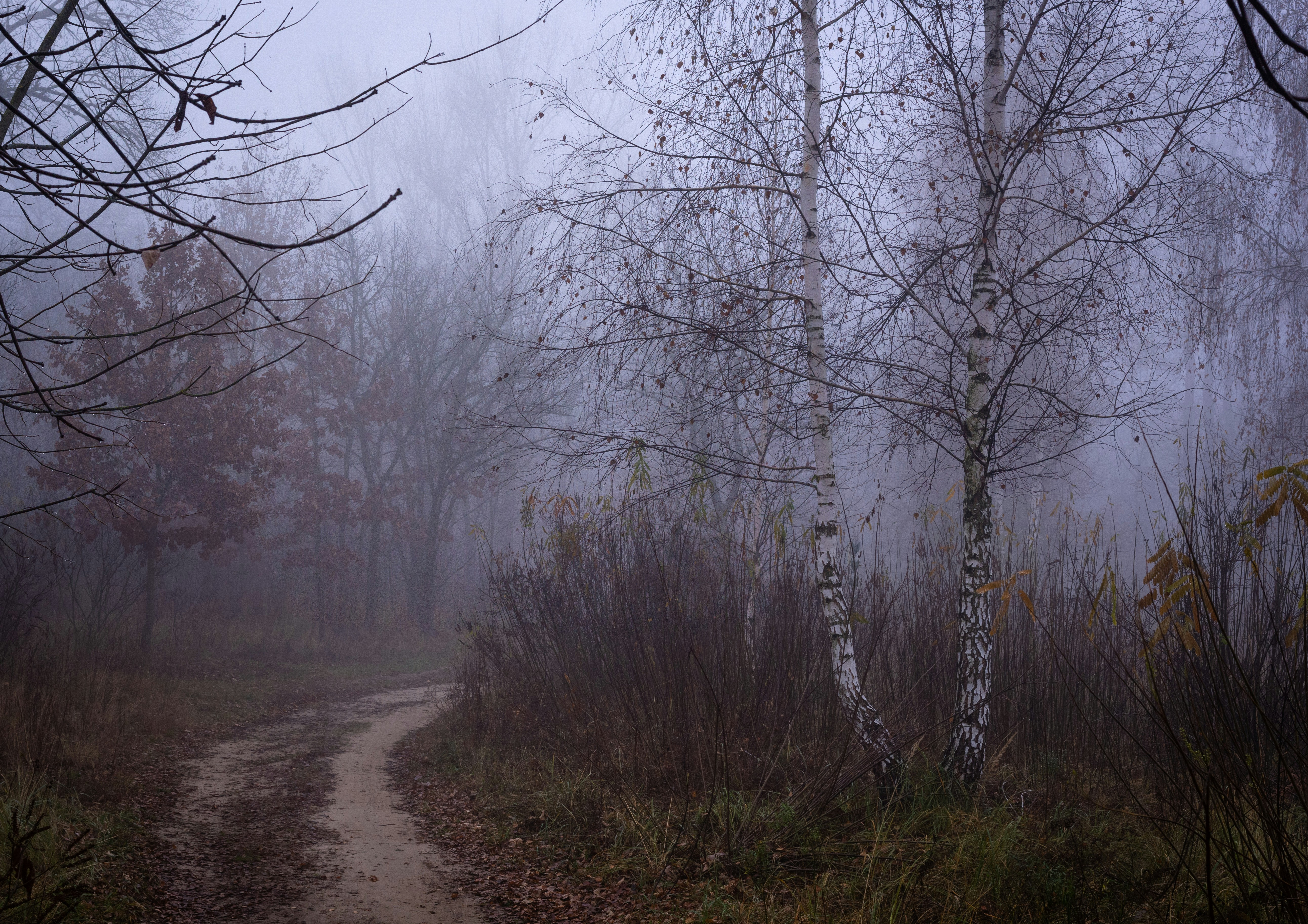 Photo by sevencolors