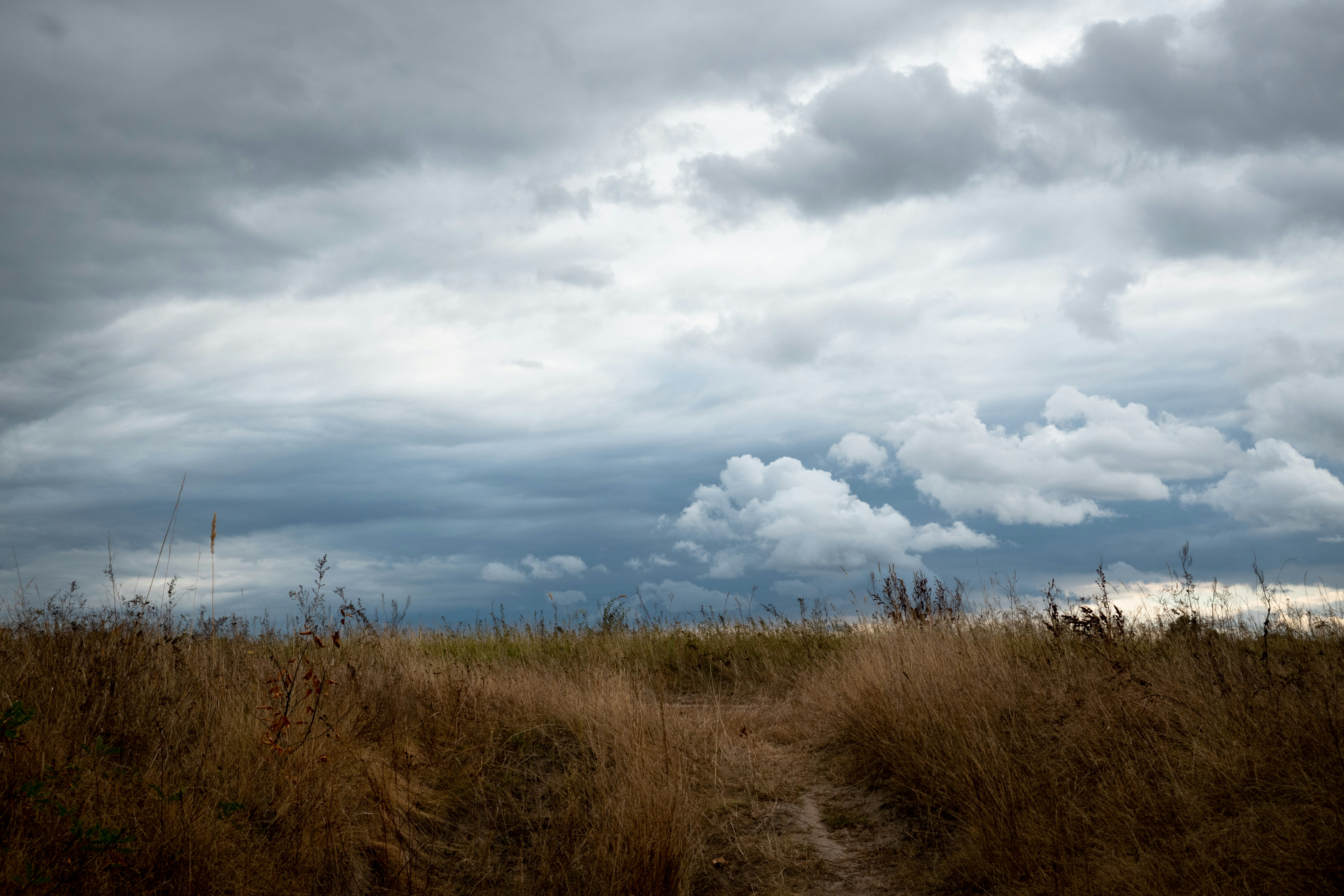 Photo by sevencolors