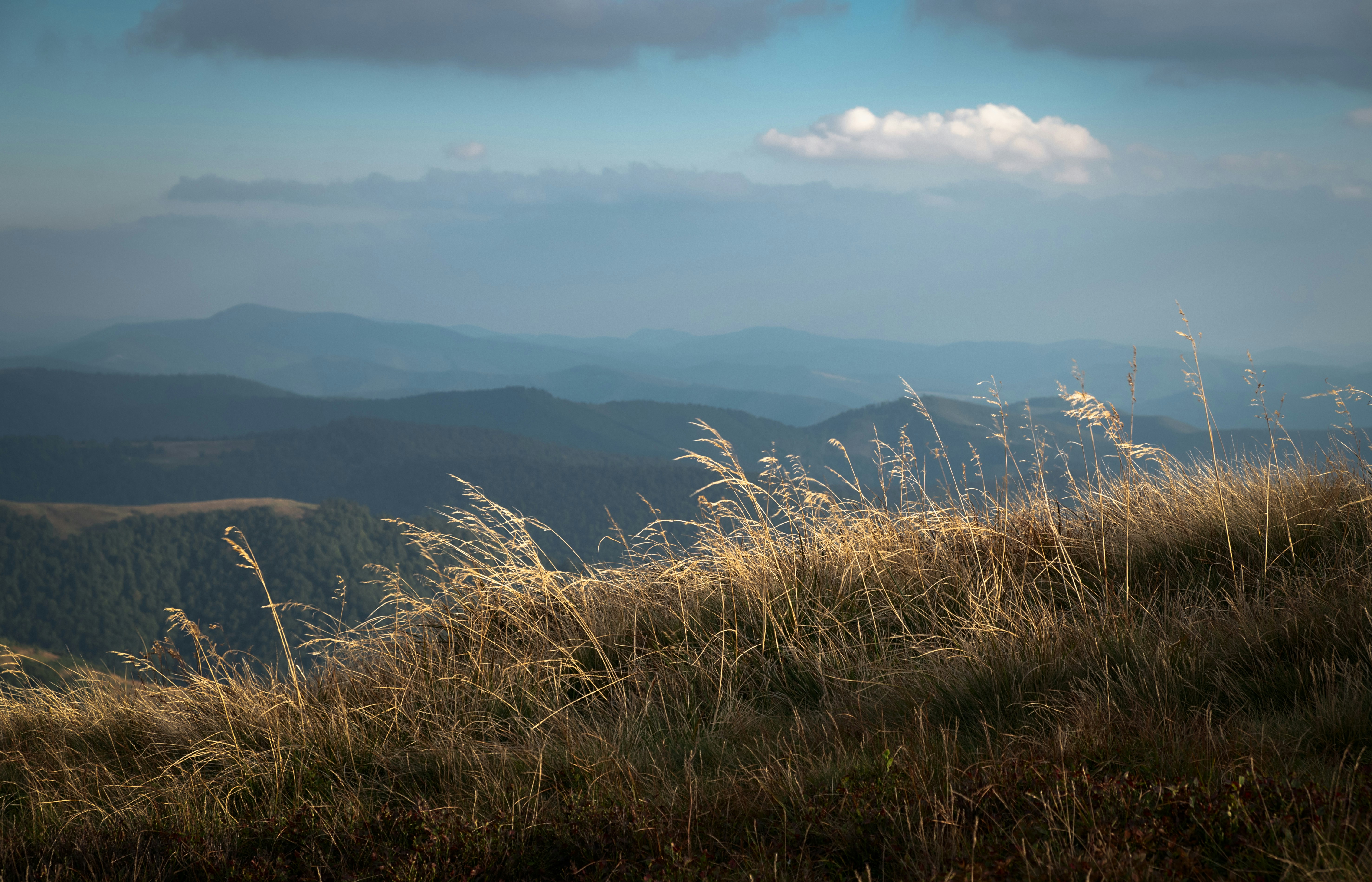 Photo by sevencolors