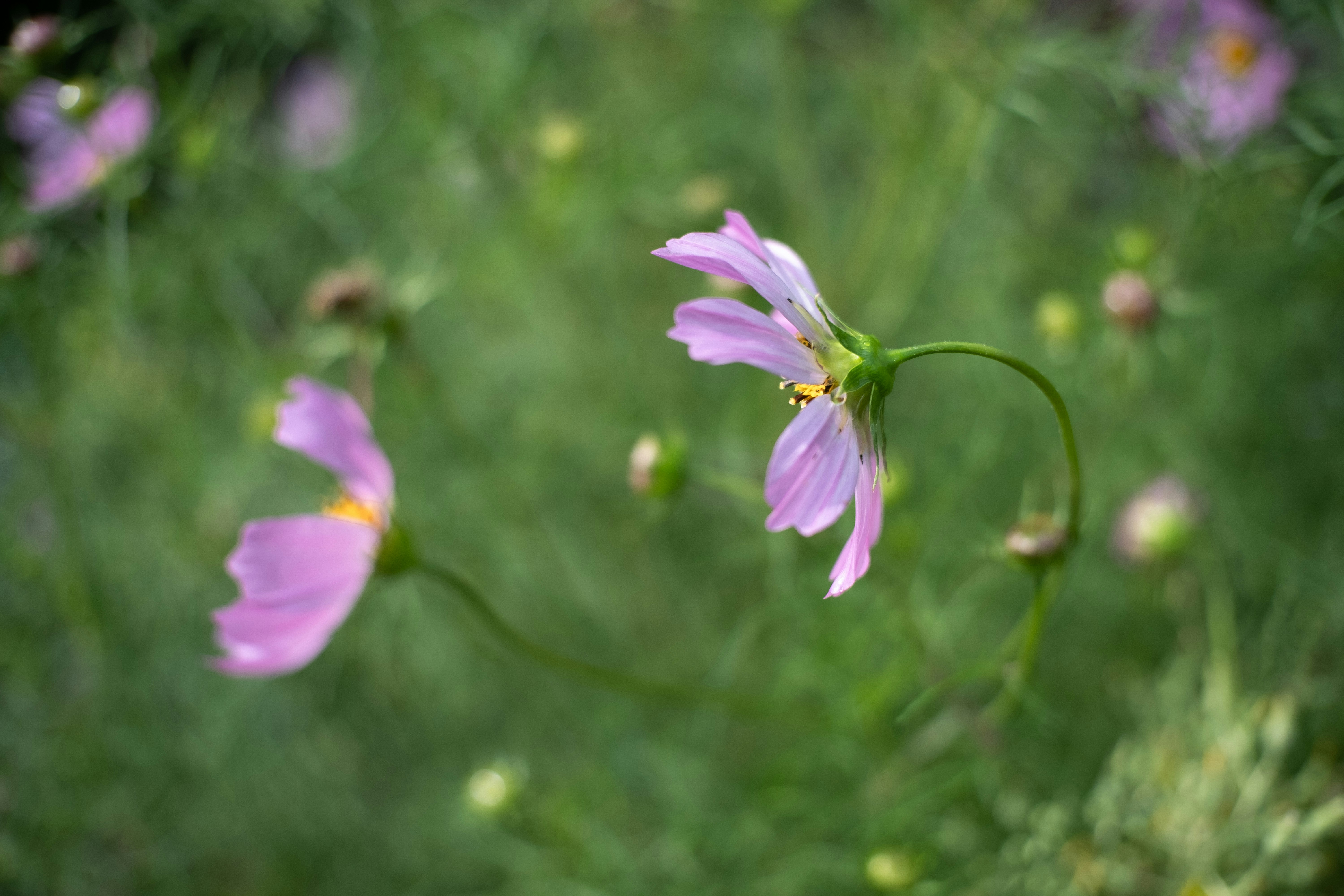 Photo by sevencolors