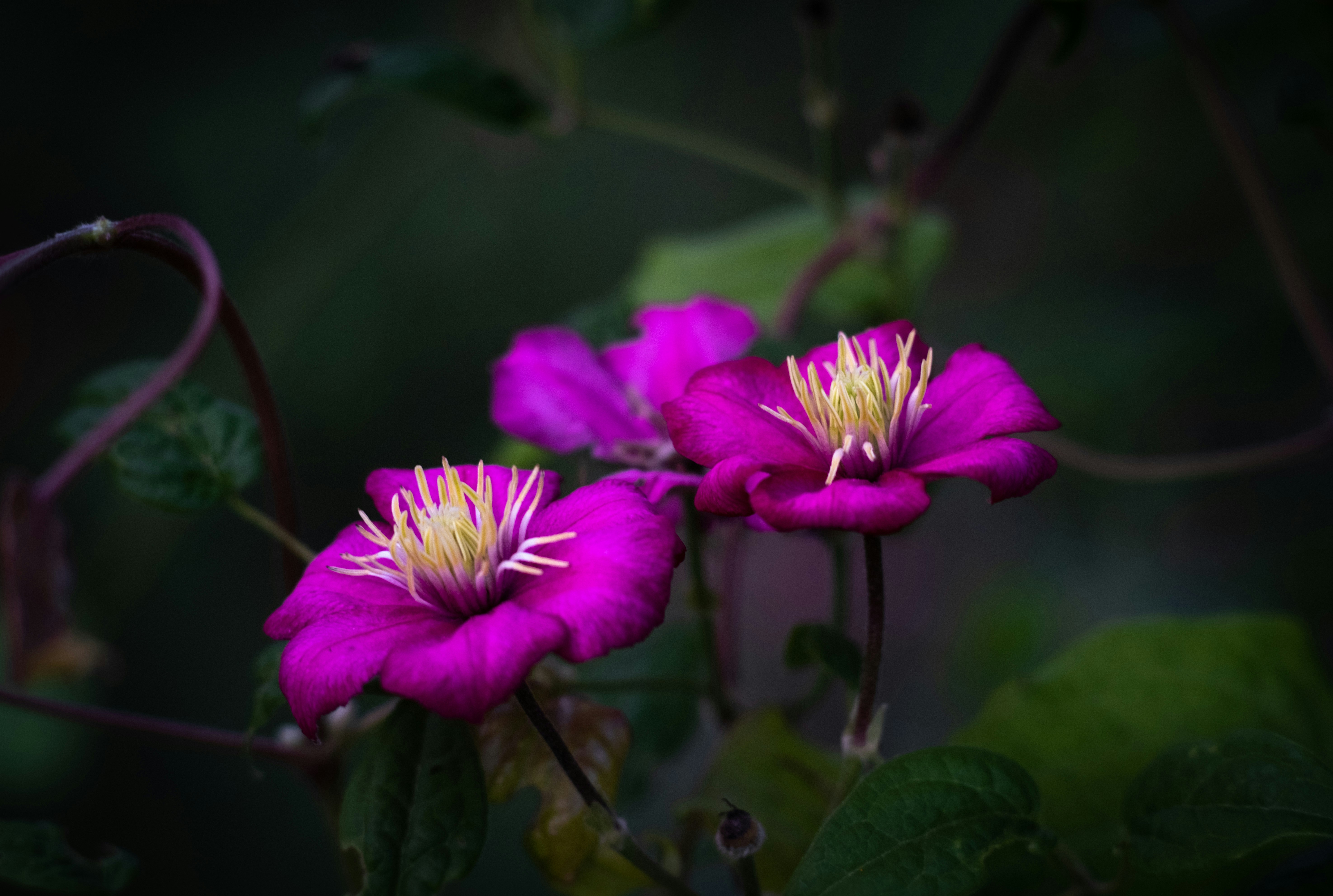 Photo by sevencolors