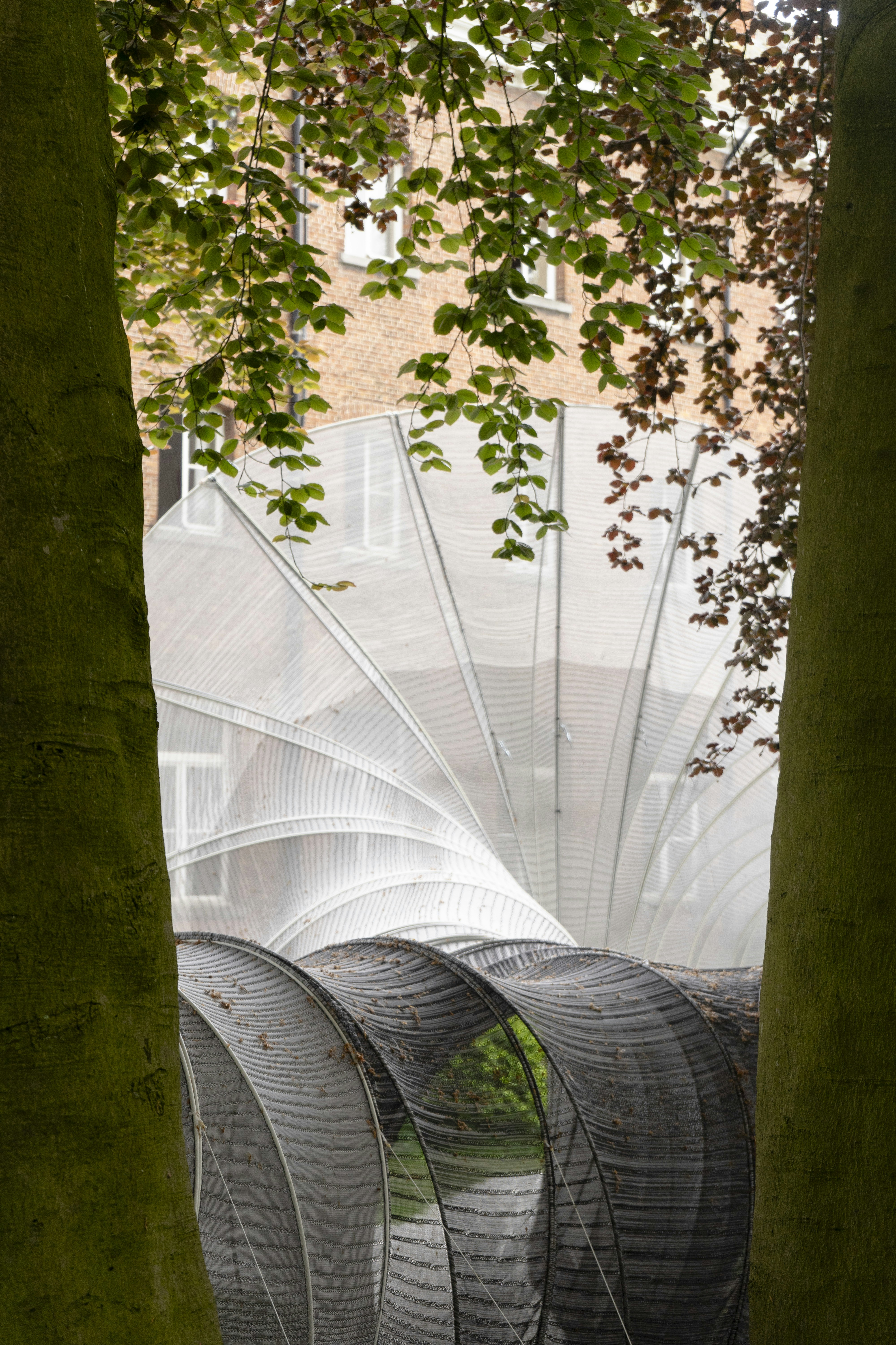 a couple of trees that are next to a building