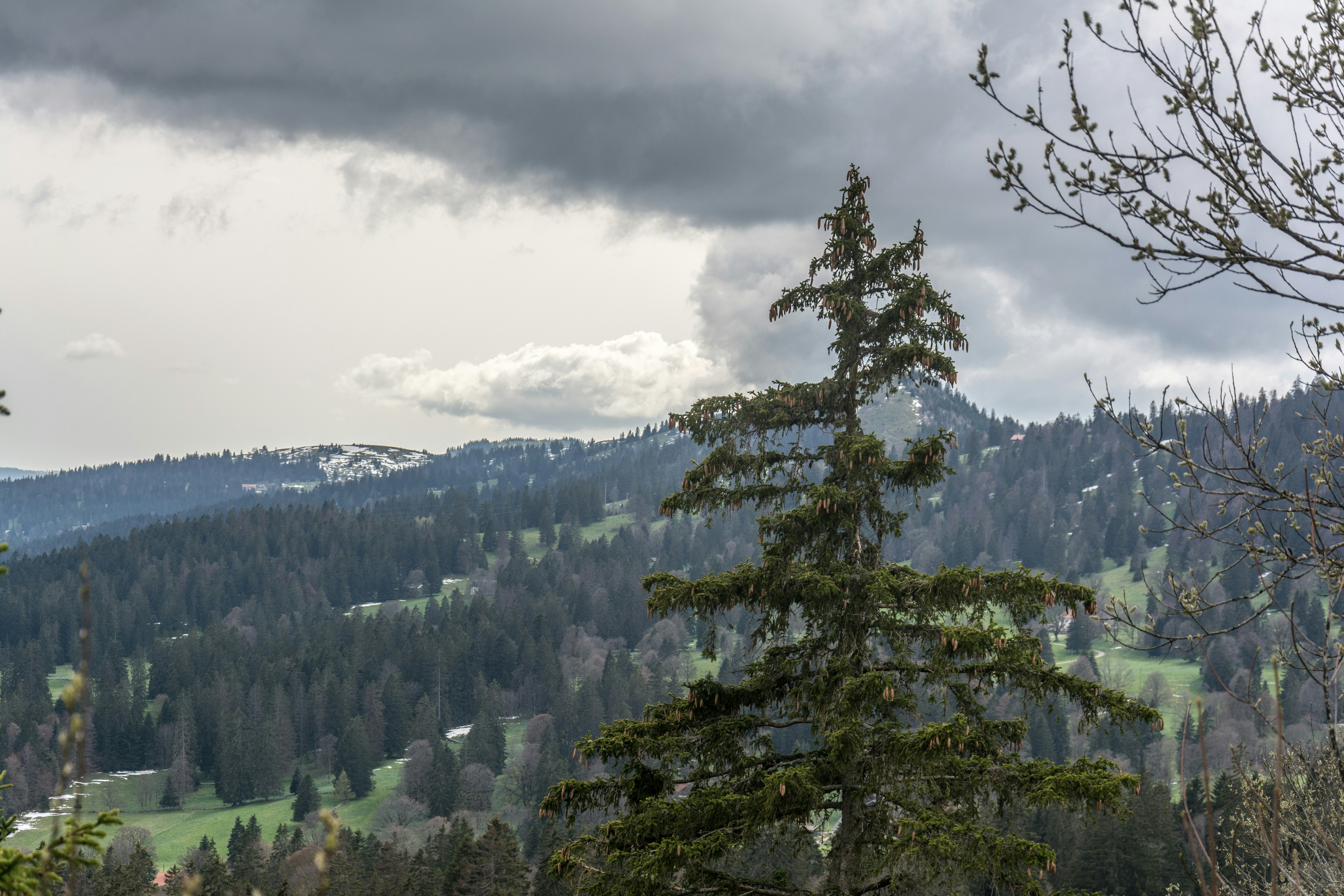 <Image montrant l'impact environnemental positif des fontaines à eau réseau>
