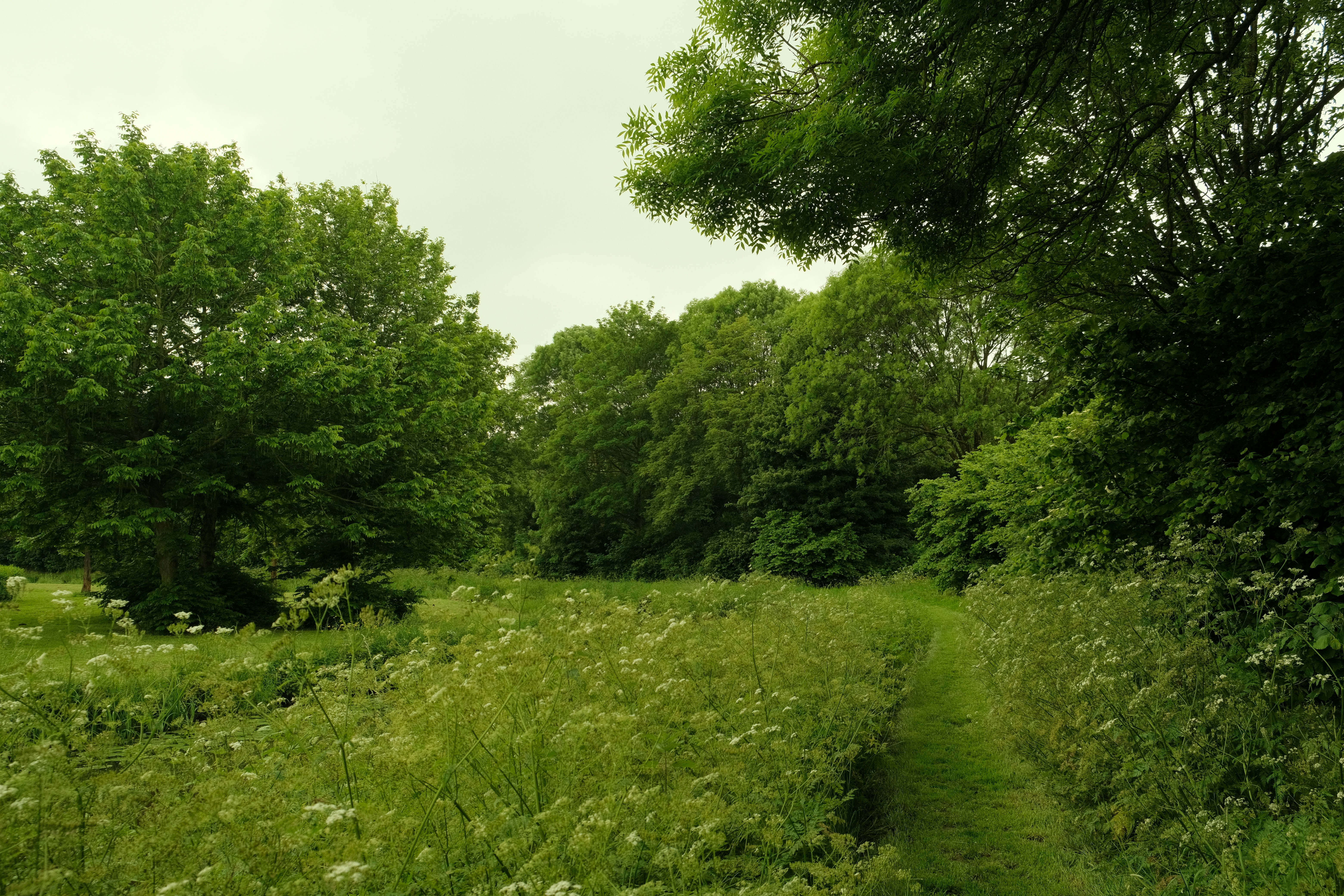 Photo by kyantijhuis