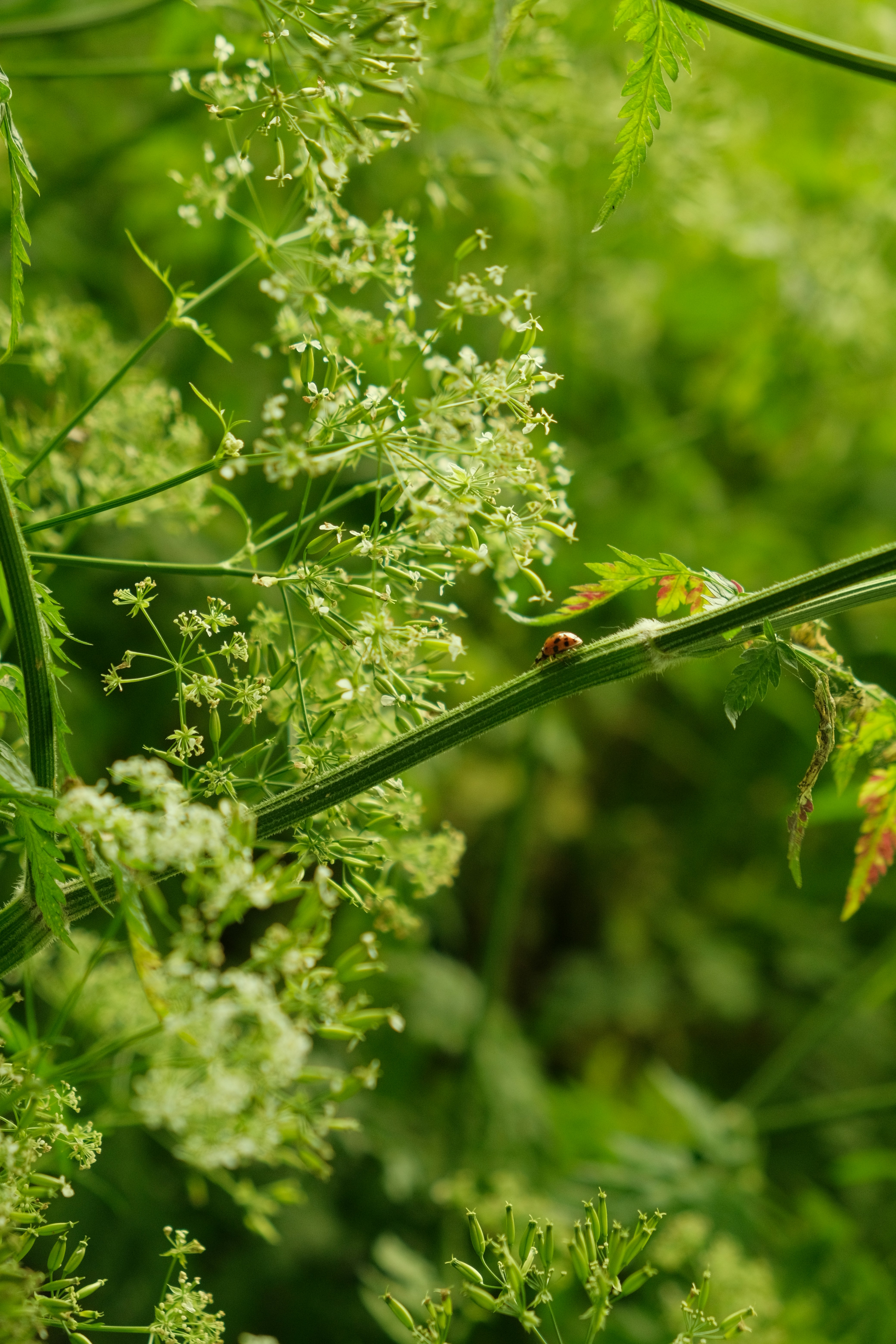 photo-1715978121487-eec74e59ec9b?ixid=M3wxMjA3fDB8MXxzZWFyY2h8MTh8fGRheWNhcmVzJTIwcG9wdWxhciUyMGxpc3RpbmdzfGVufDB8fHx8MTcyNjkyMTIzNHww\u0026ixlib=rb-4.0.3