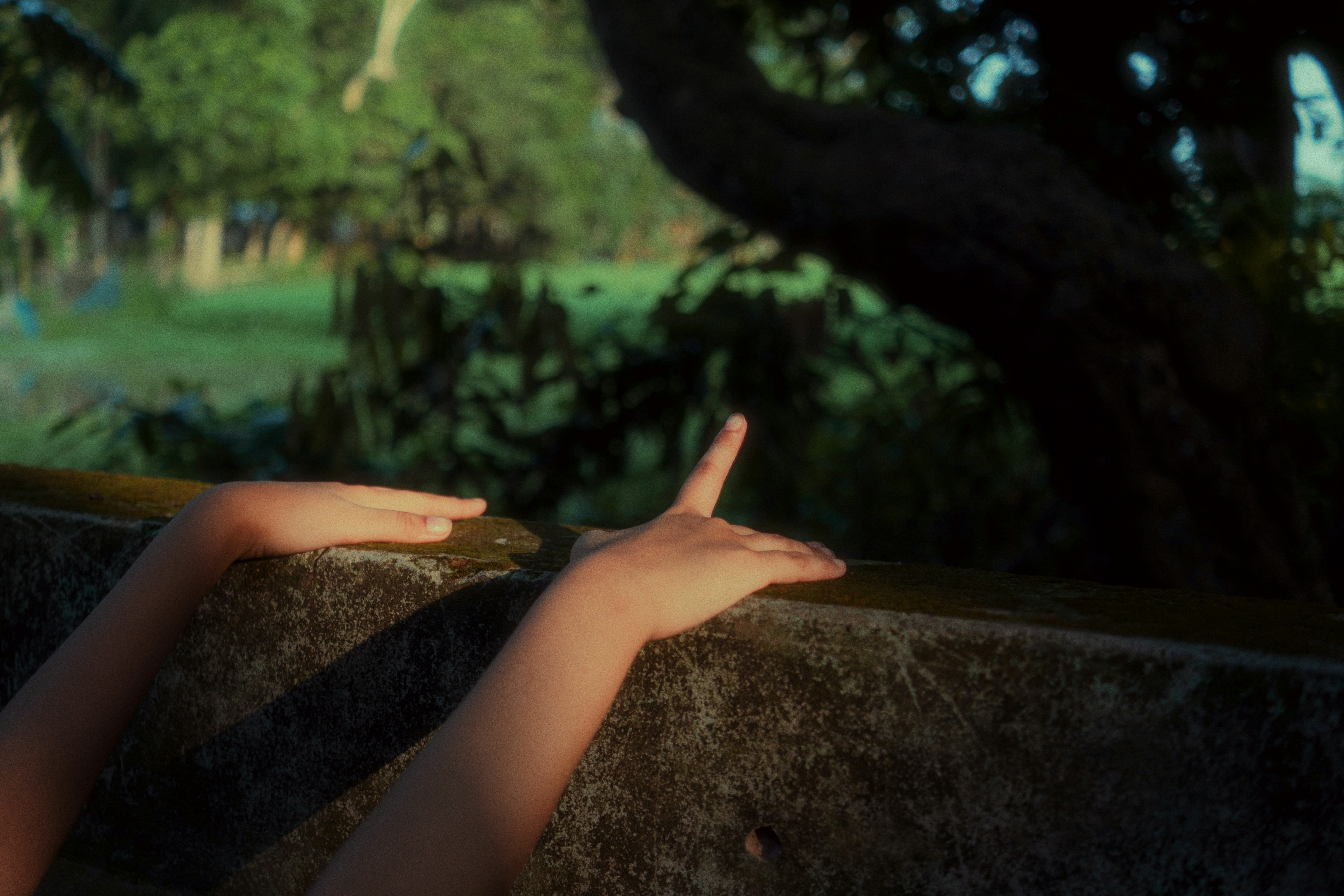 a person's hands reaching out from behind a stone wall