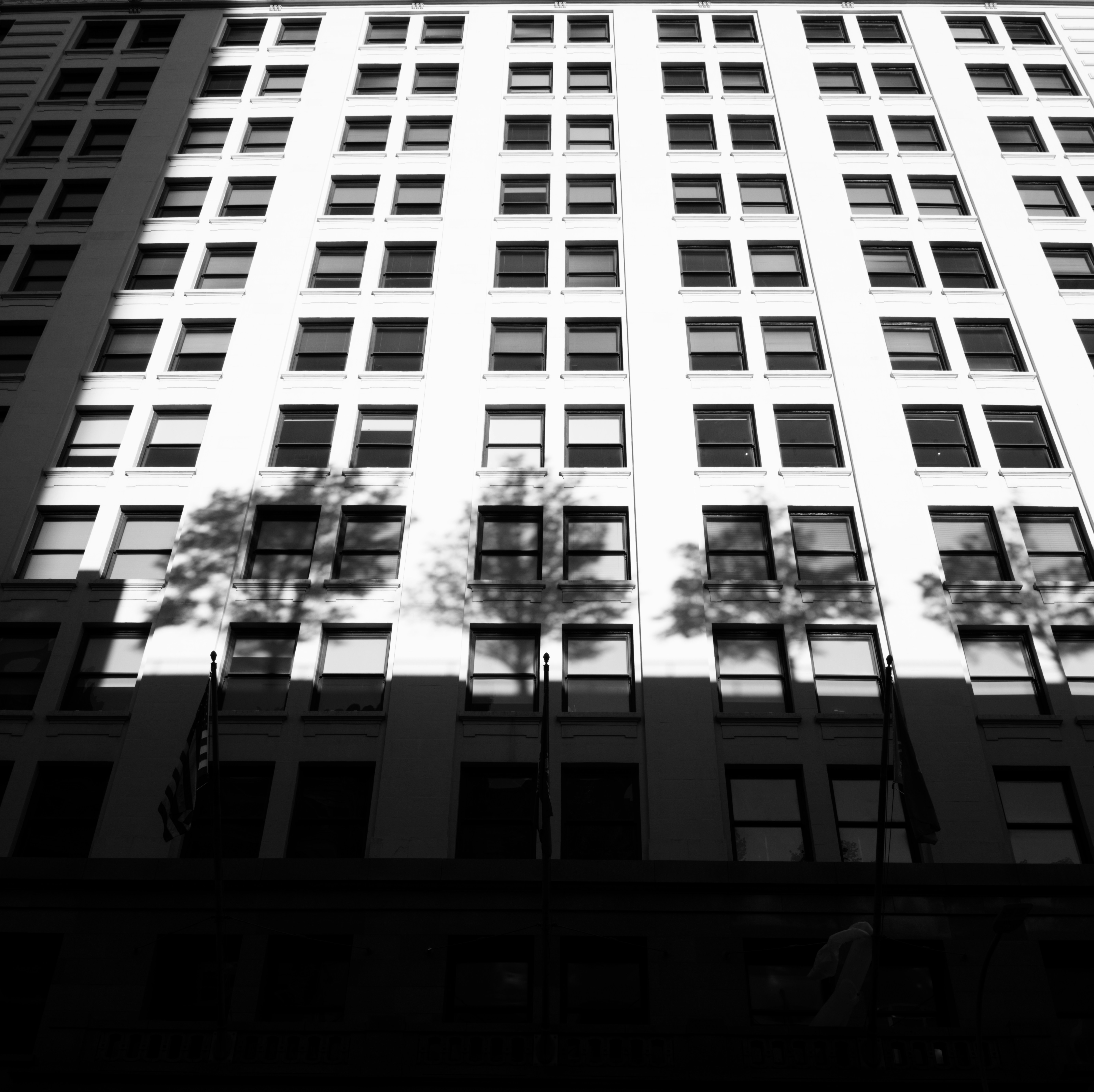 Photo by thephotochad