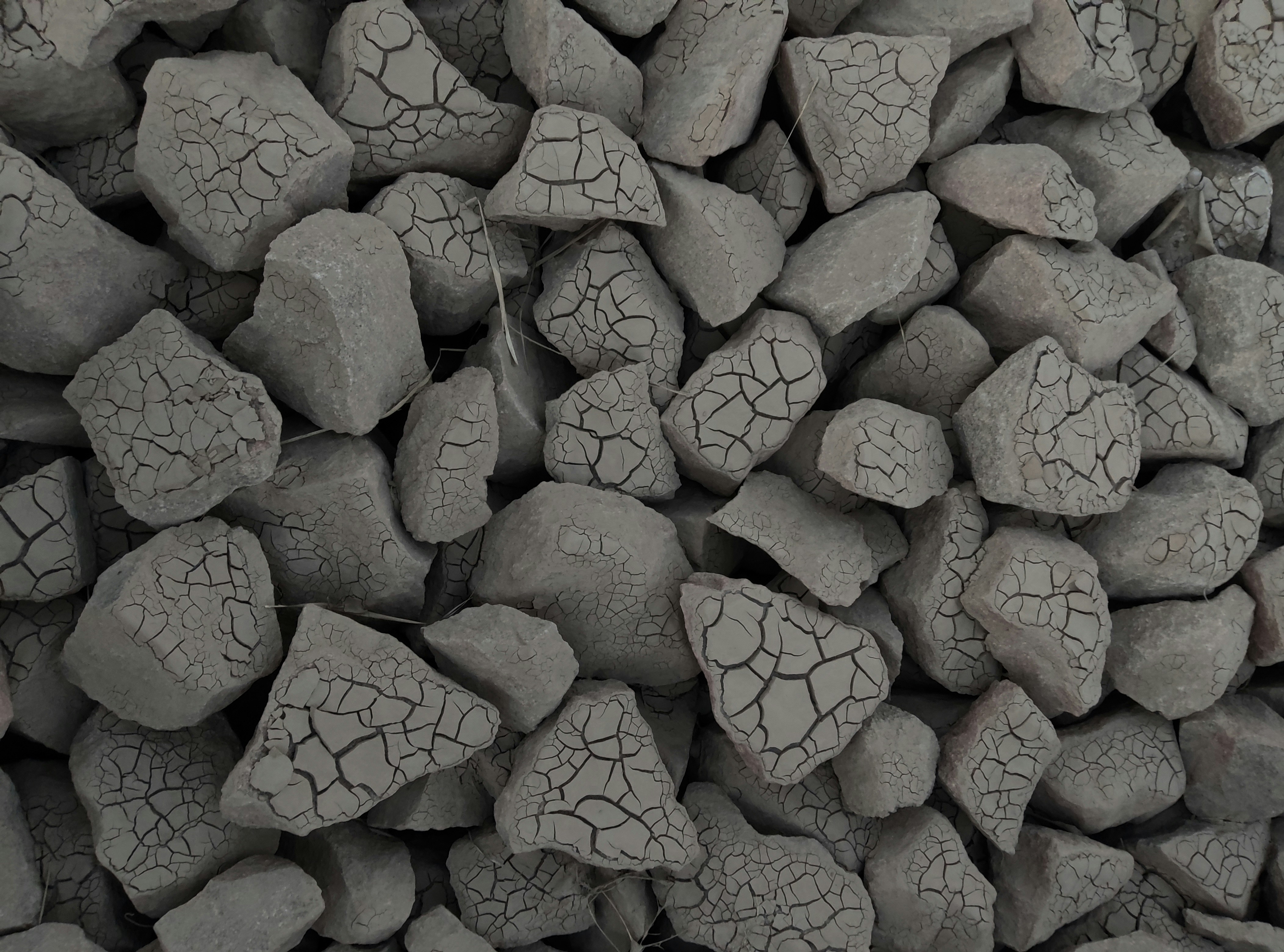 Photo by reza_amanda