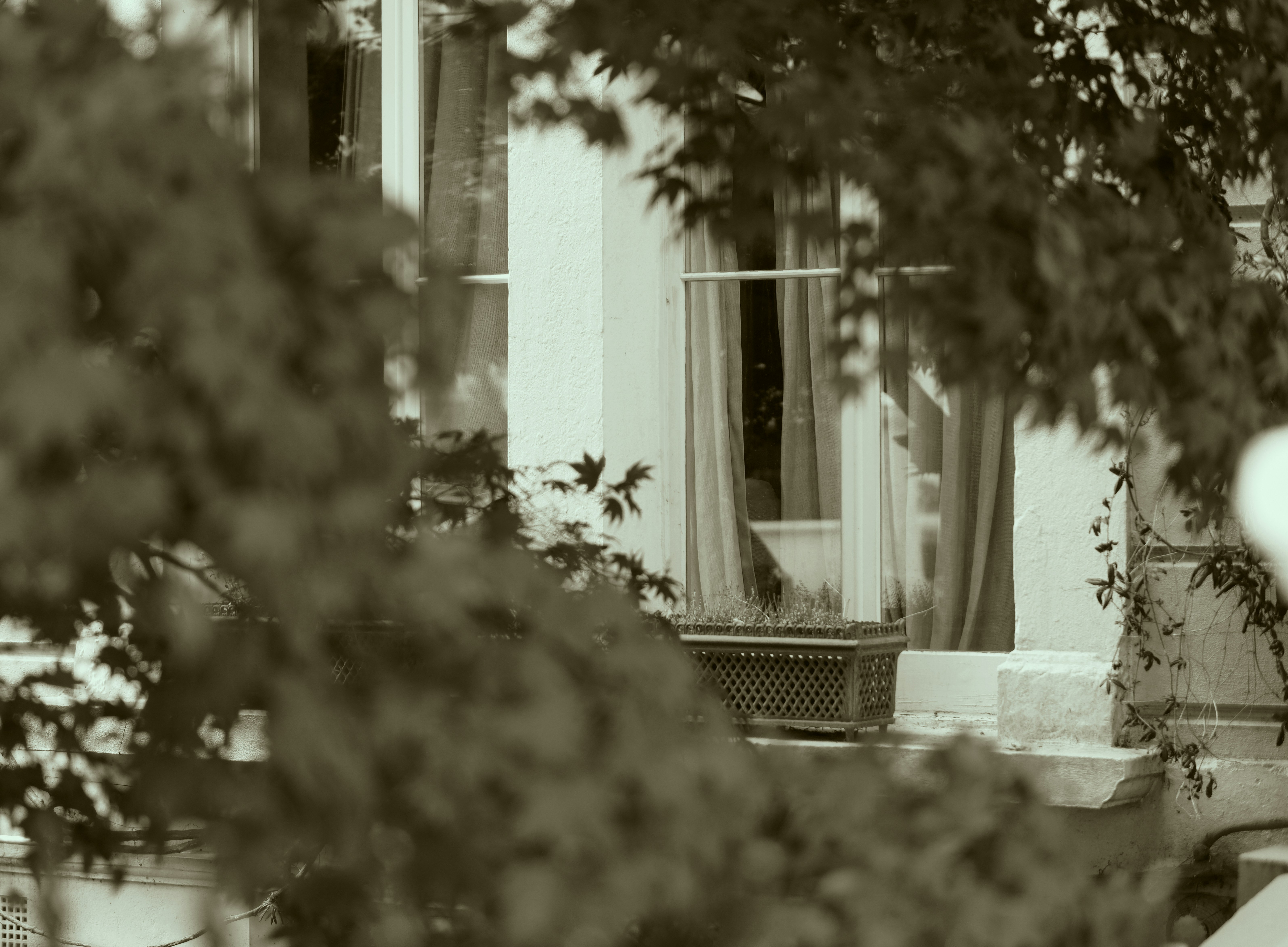 Photo by romanakash27