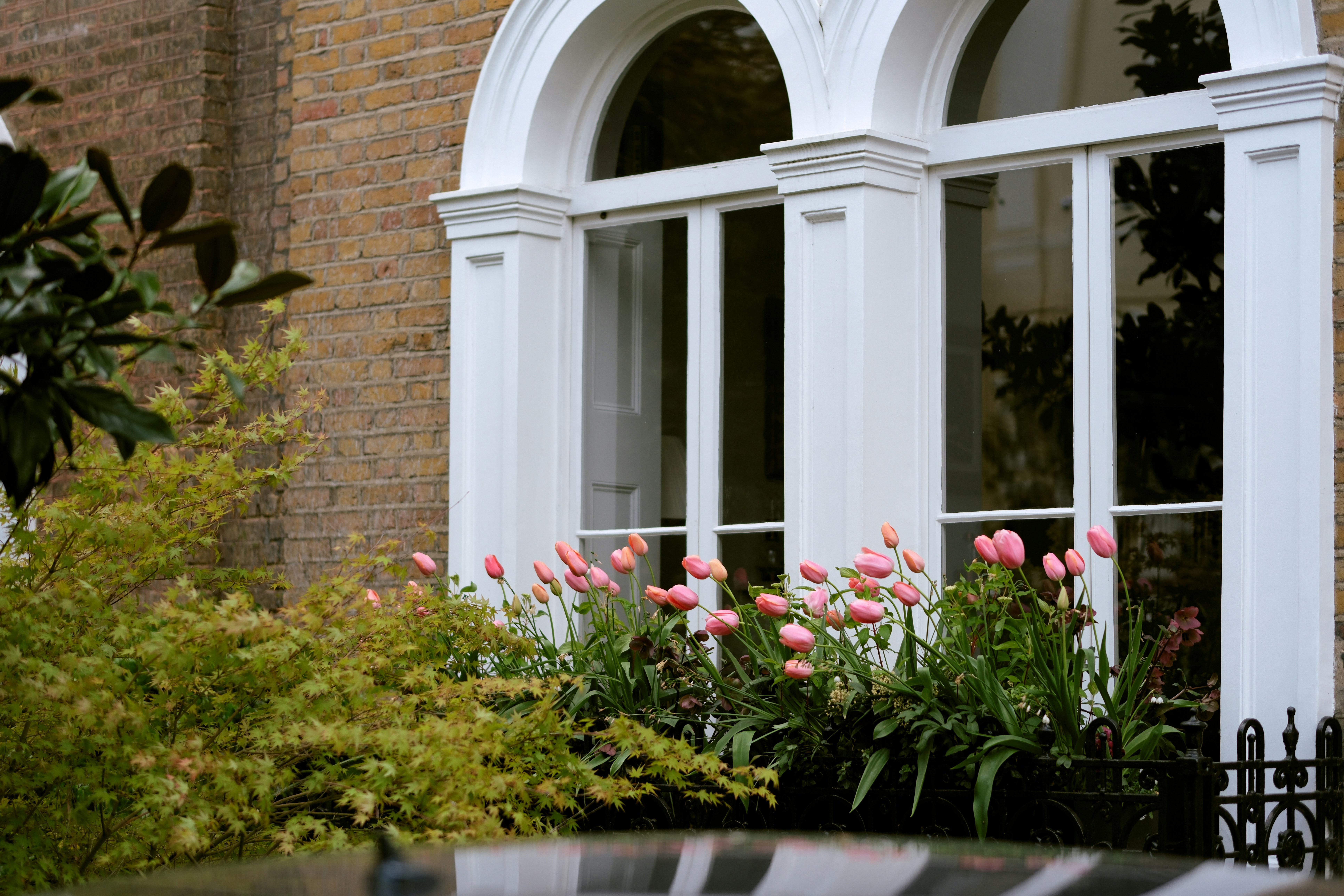 Photo by romanakash27