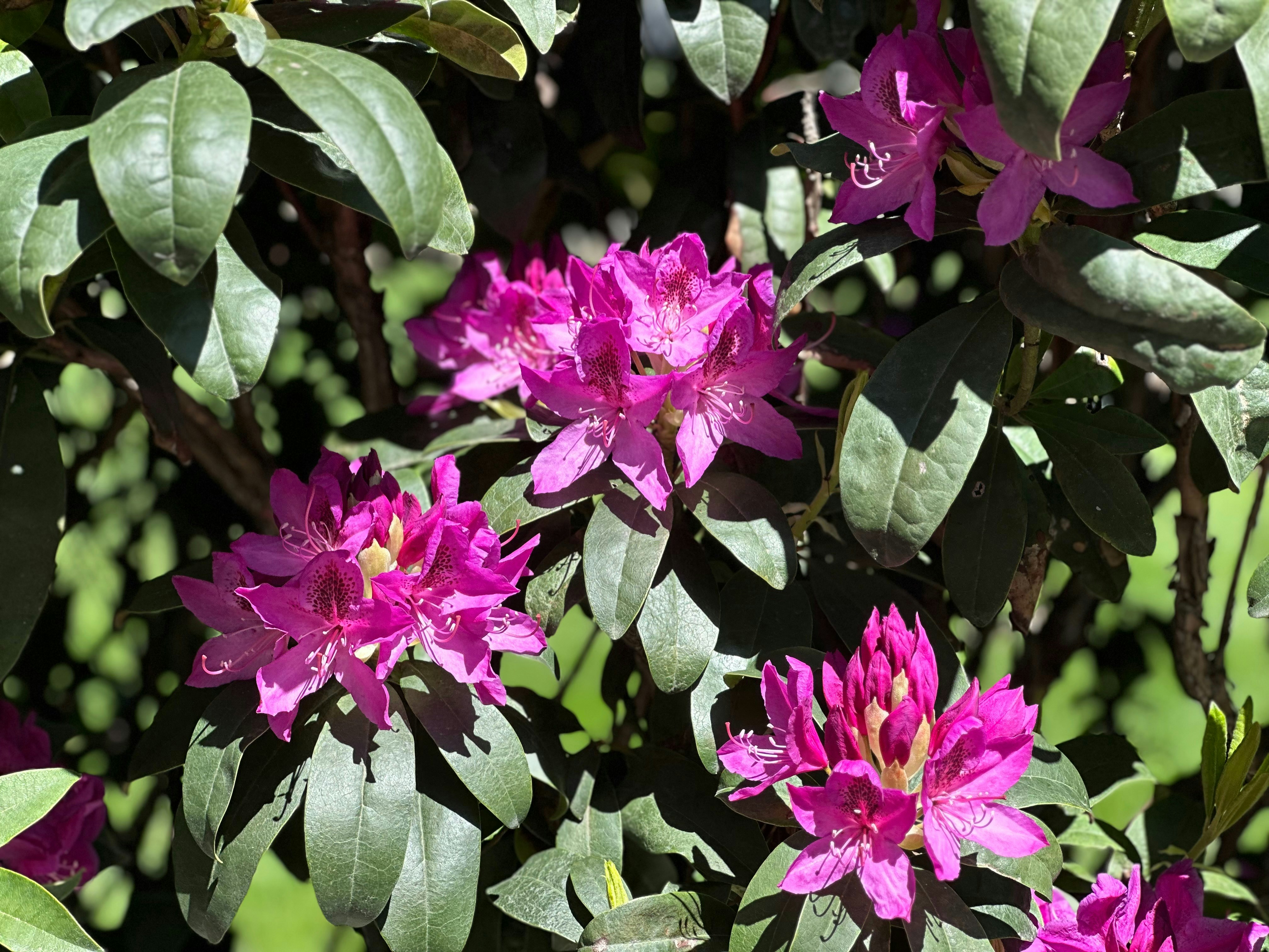 Photo by mayihelpministries