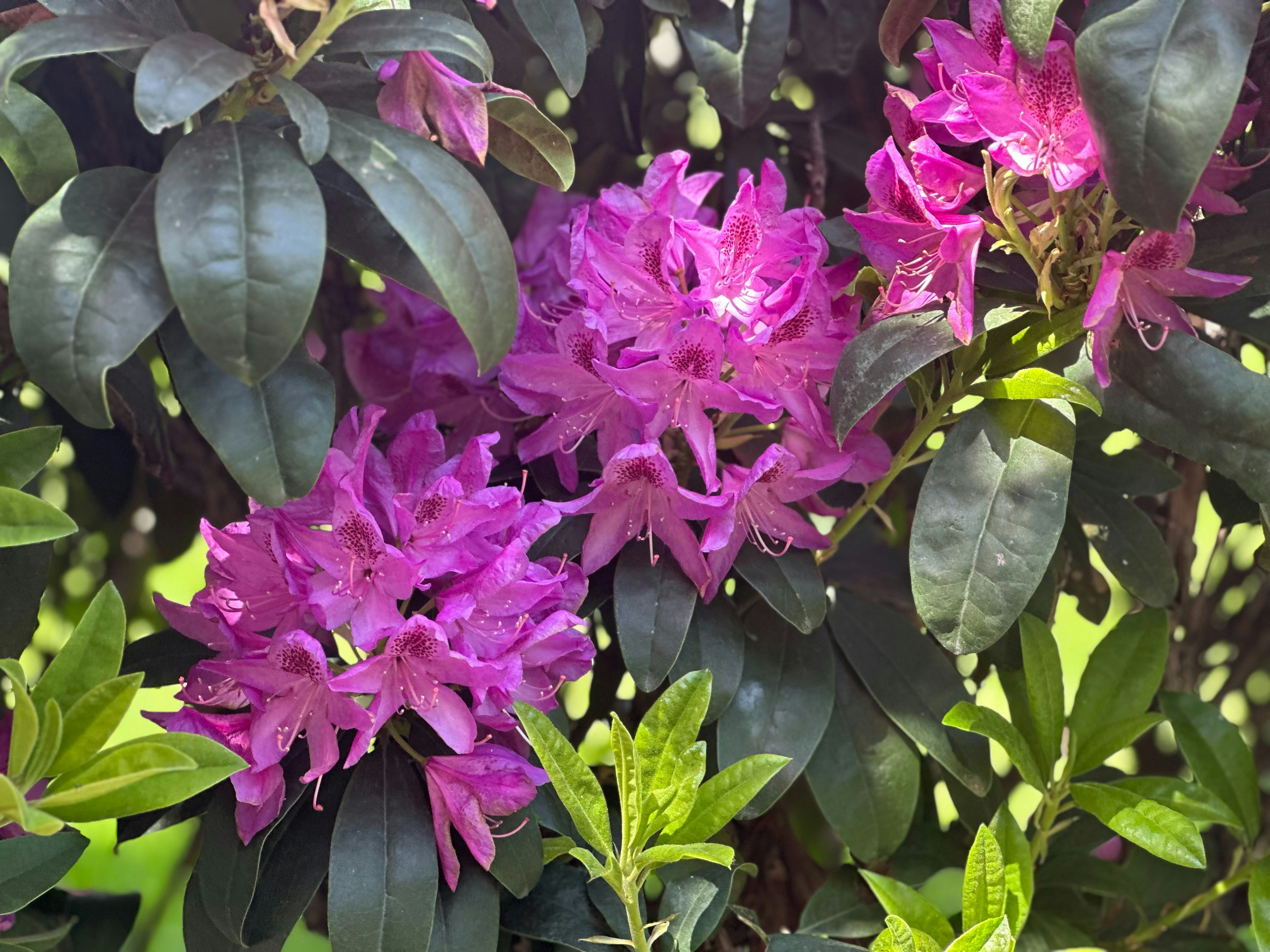 Photo by mayihelpministries